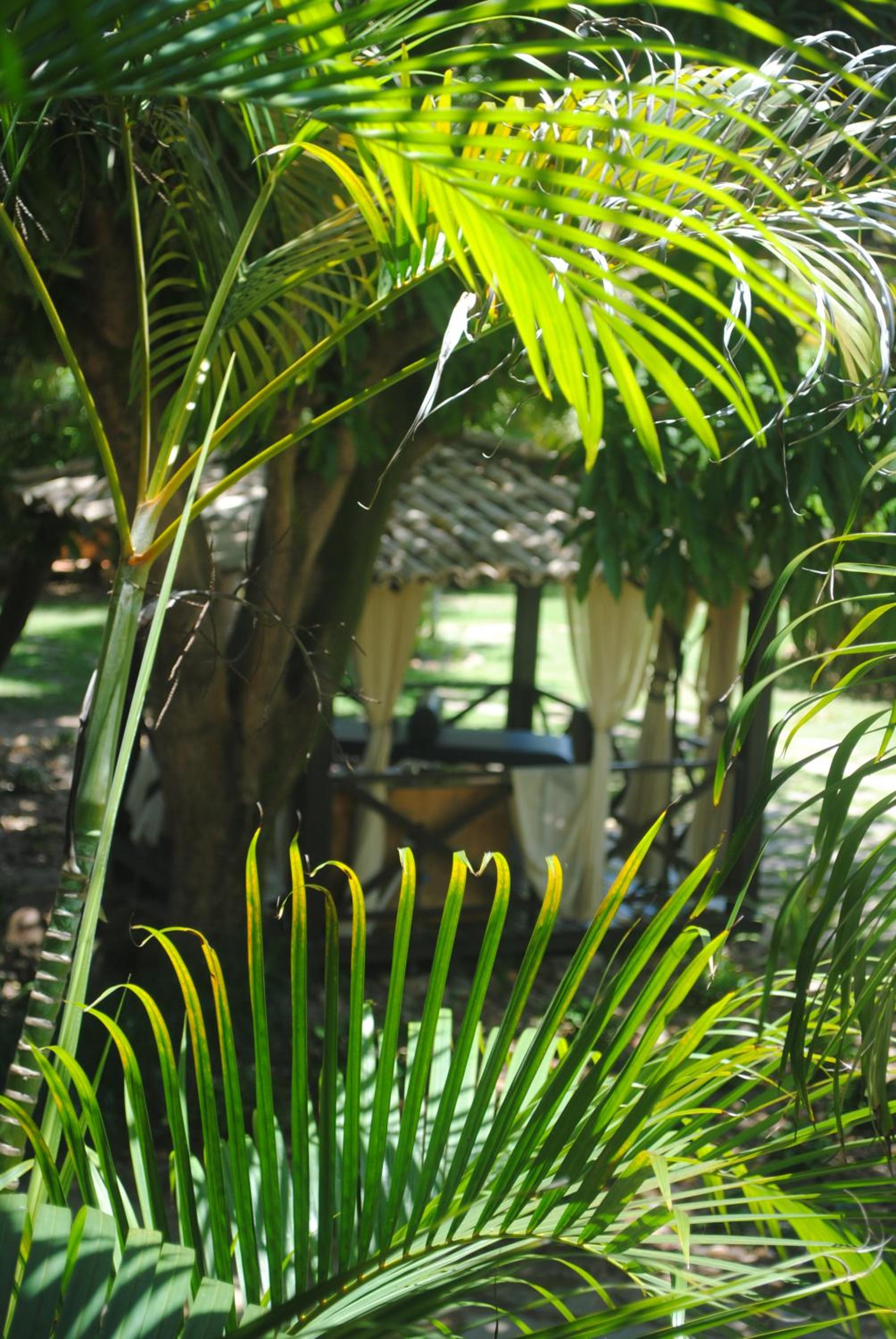 Casa Girassois