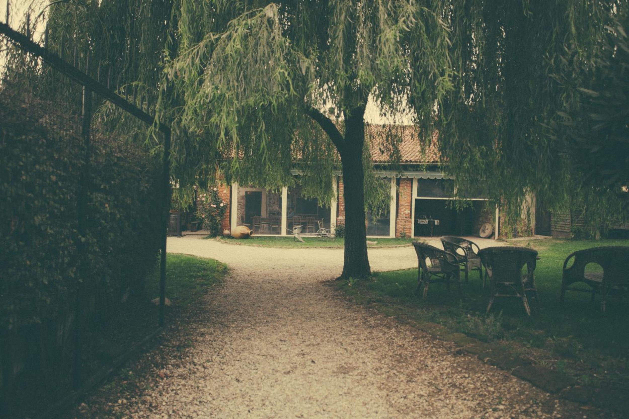 Photo 43