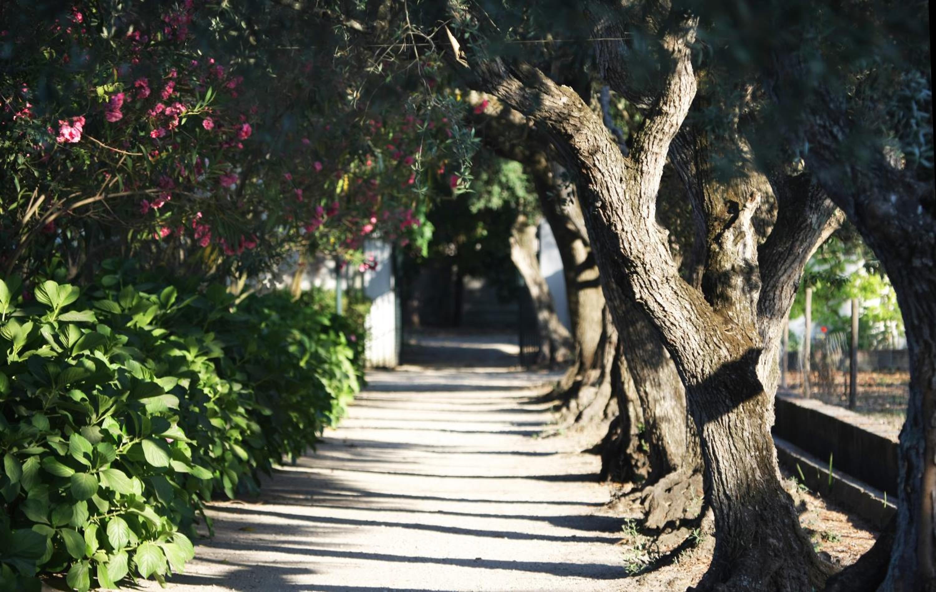 Quinta Da Praia Das Fontes
