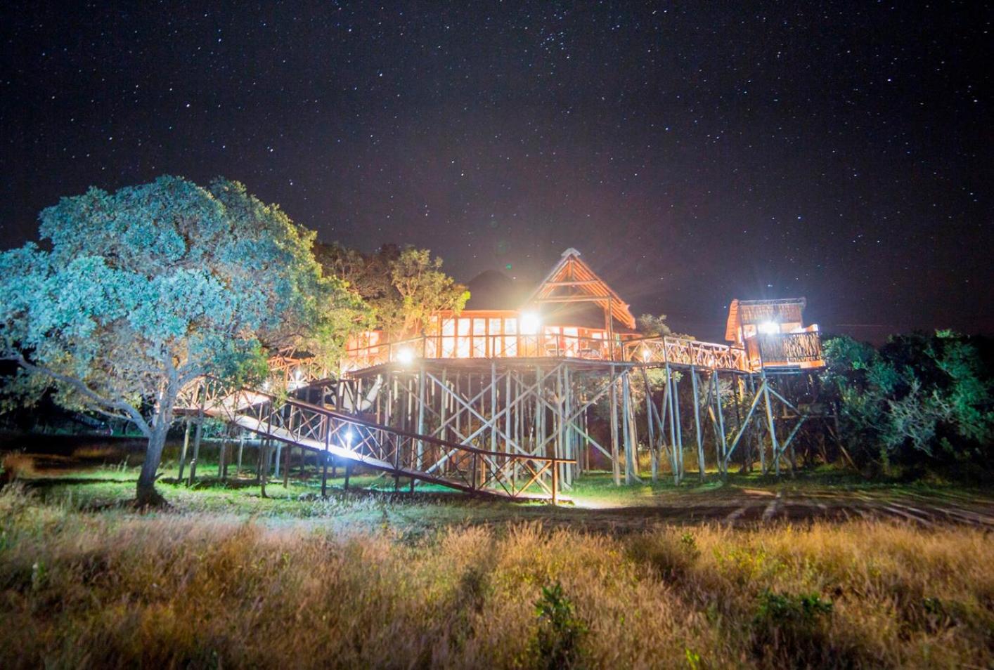 Pezulu Tree House Lodge