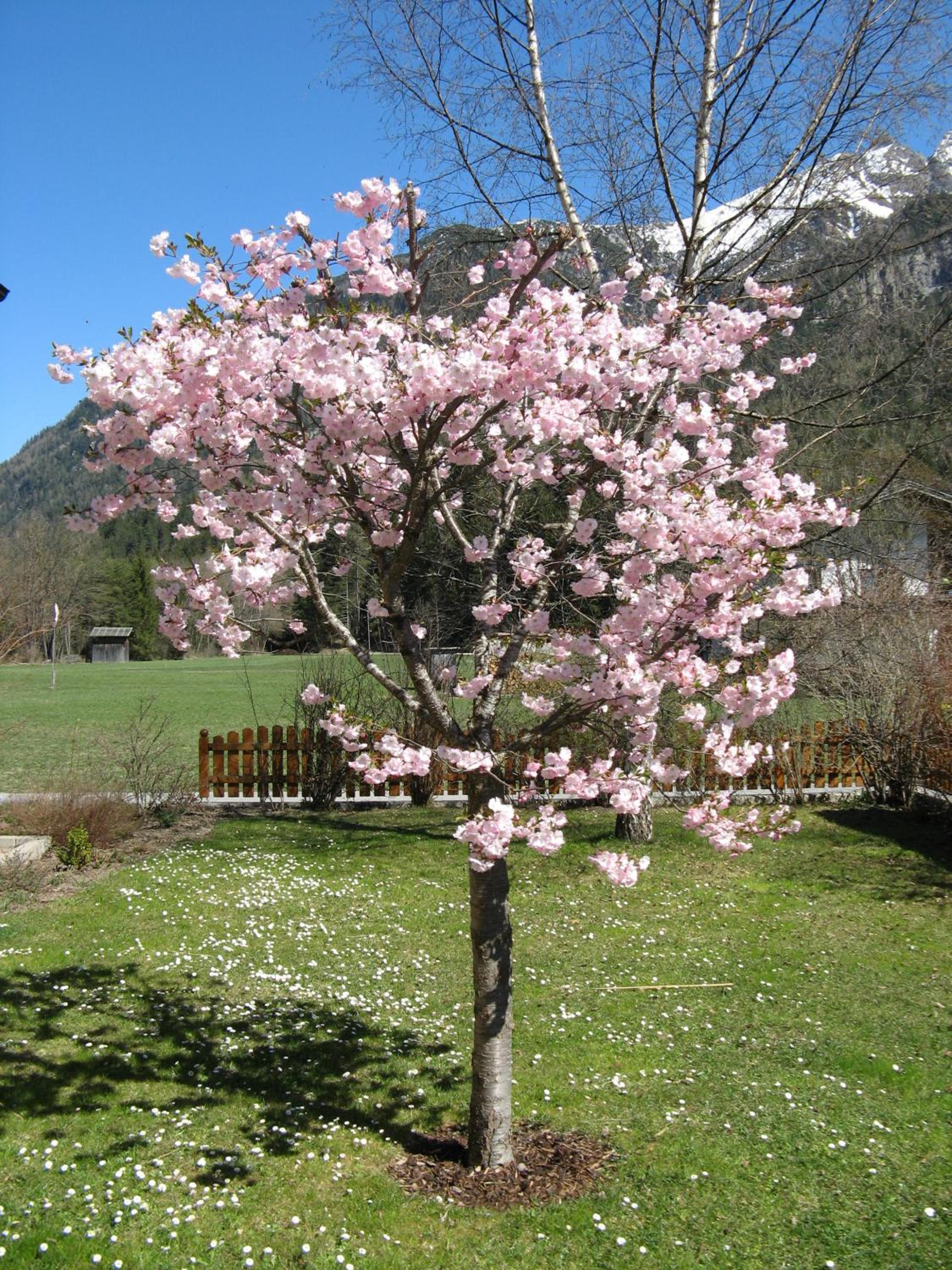 Ferienwohnungen Schlichtherle