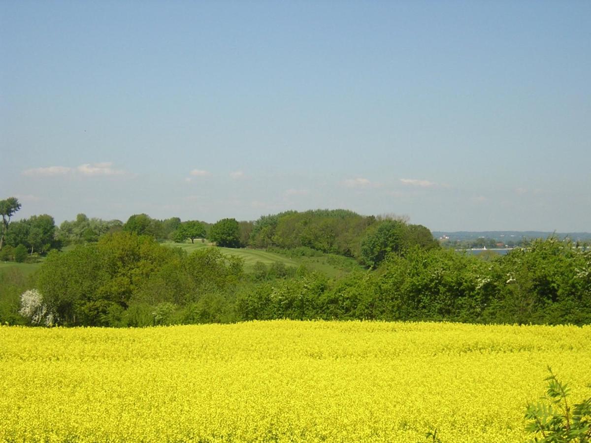 Schulwald view 5