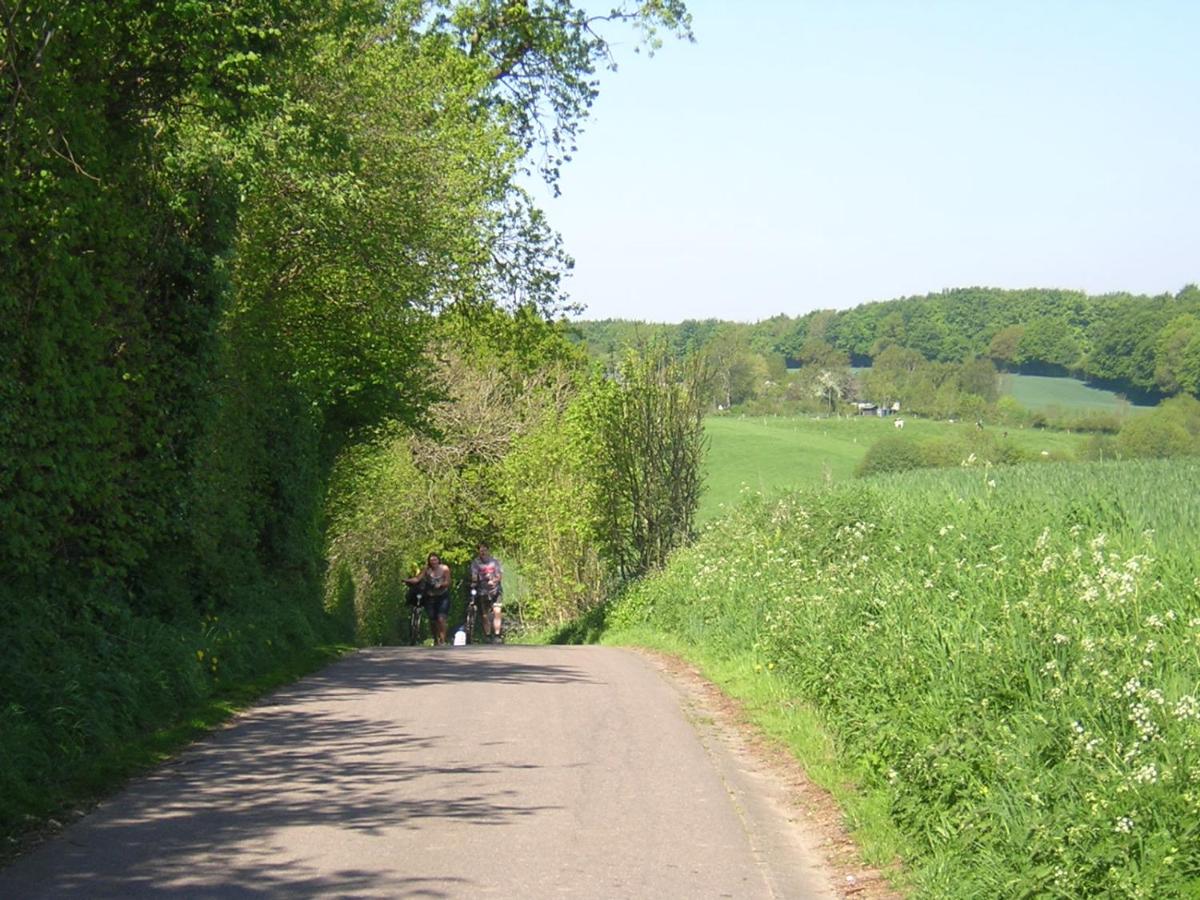 Schulwald view 4