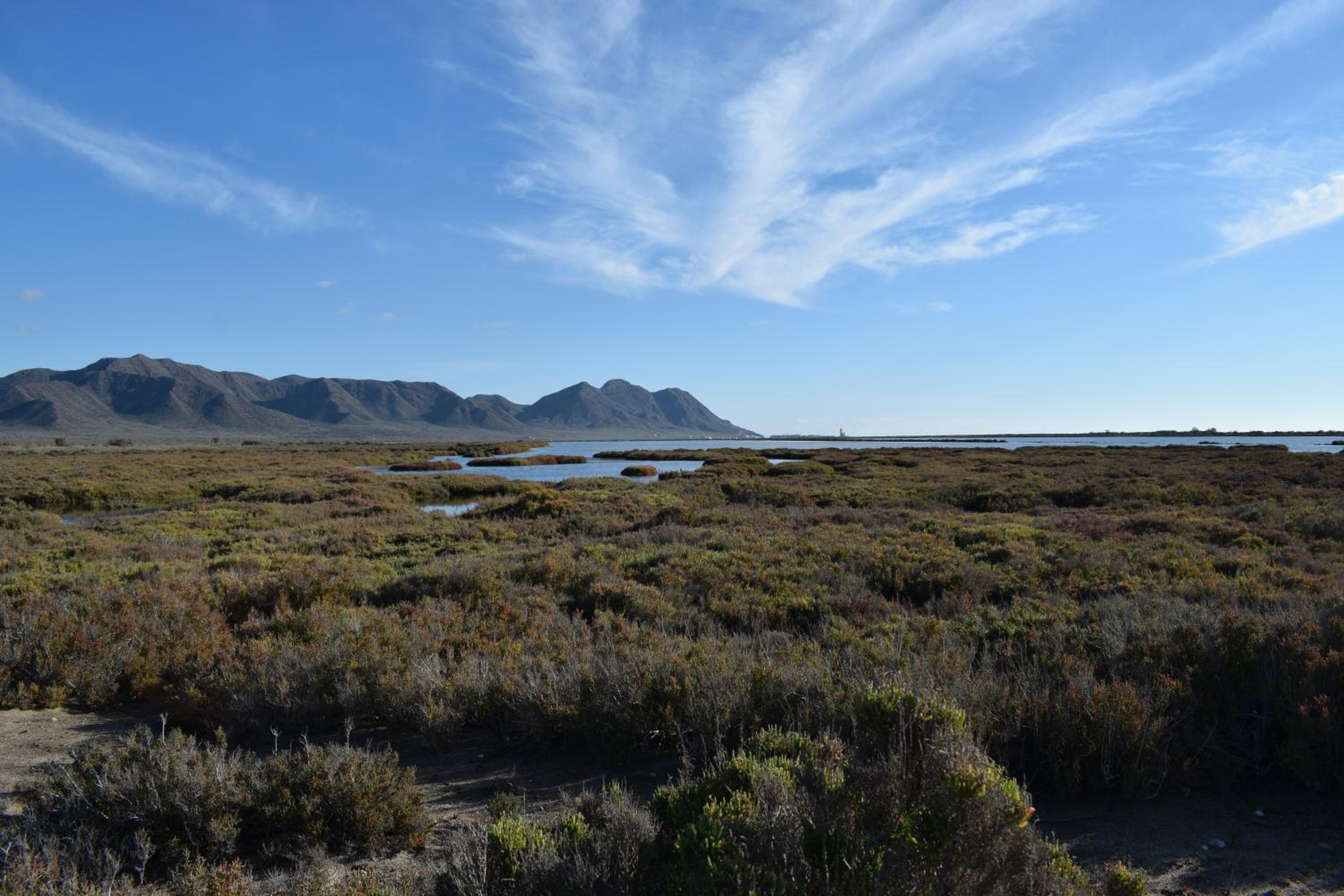 Cortijo La Molina de Cabo de Gata - Property Image 14