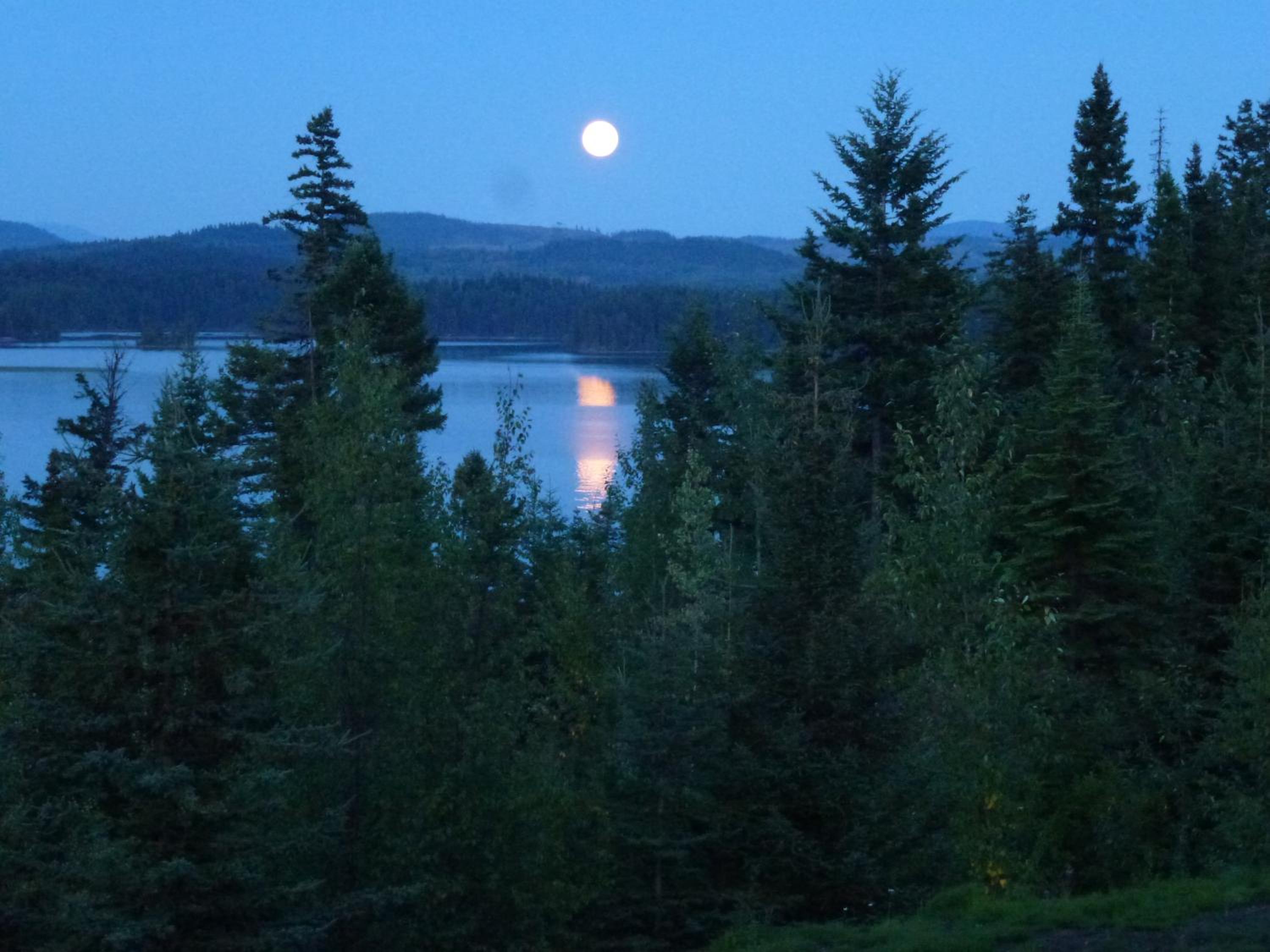 Little Black Bear Lodge/B&B