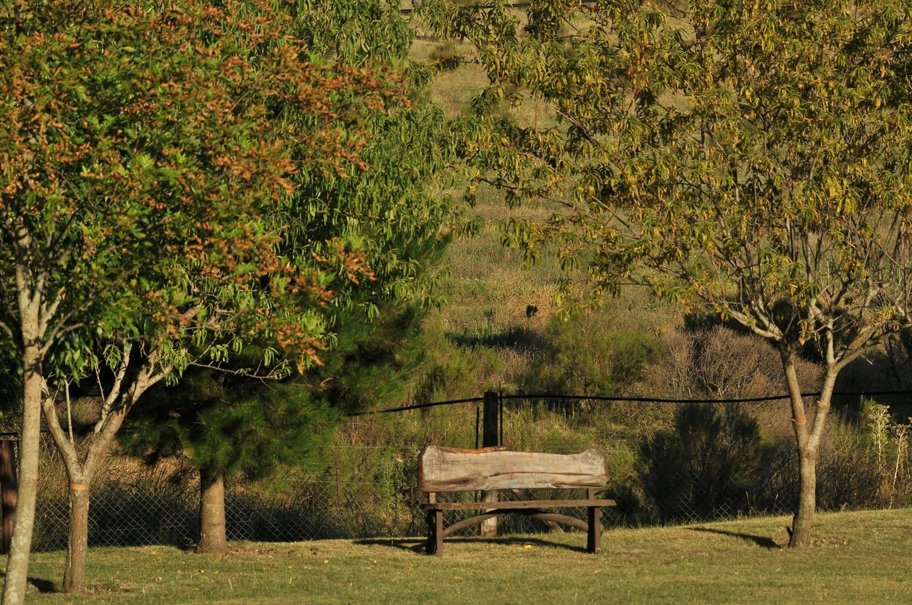 Cabañas Valle de los Ciervos