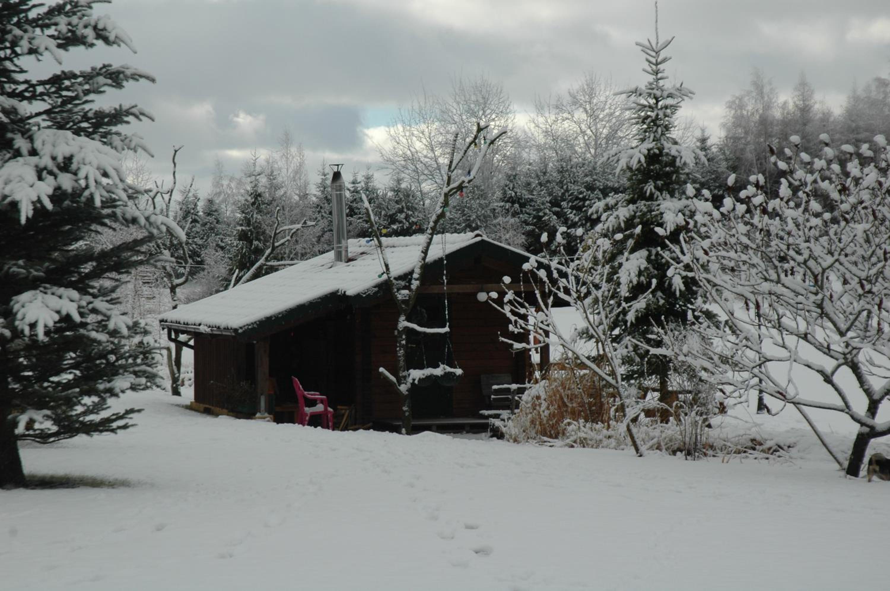 Photo 45