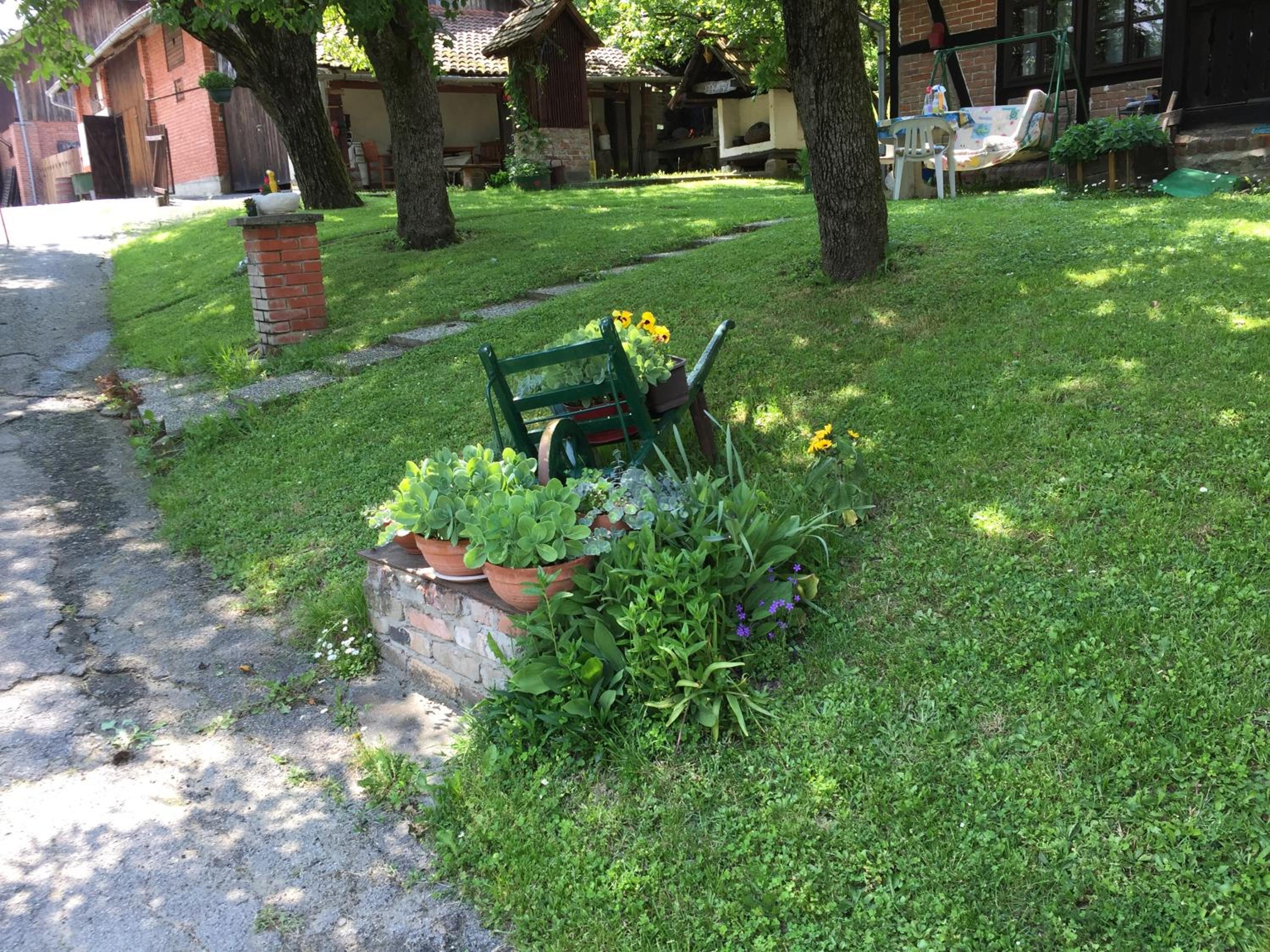 Photo 33