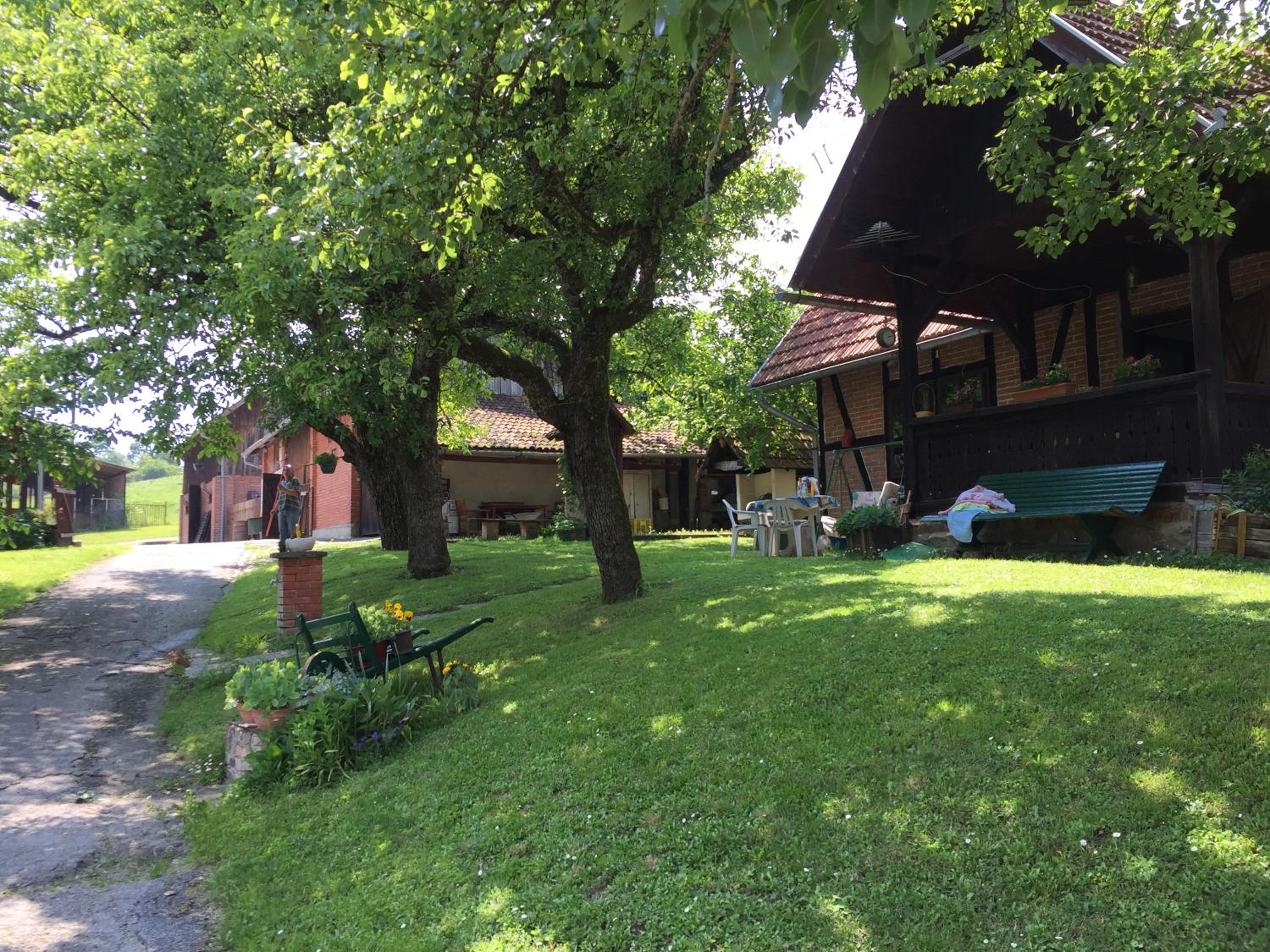 Photo 16