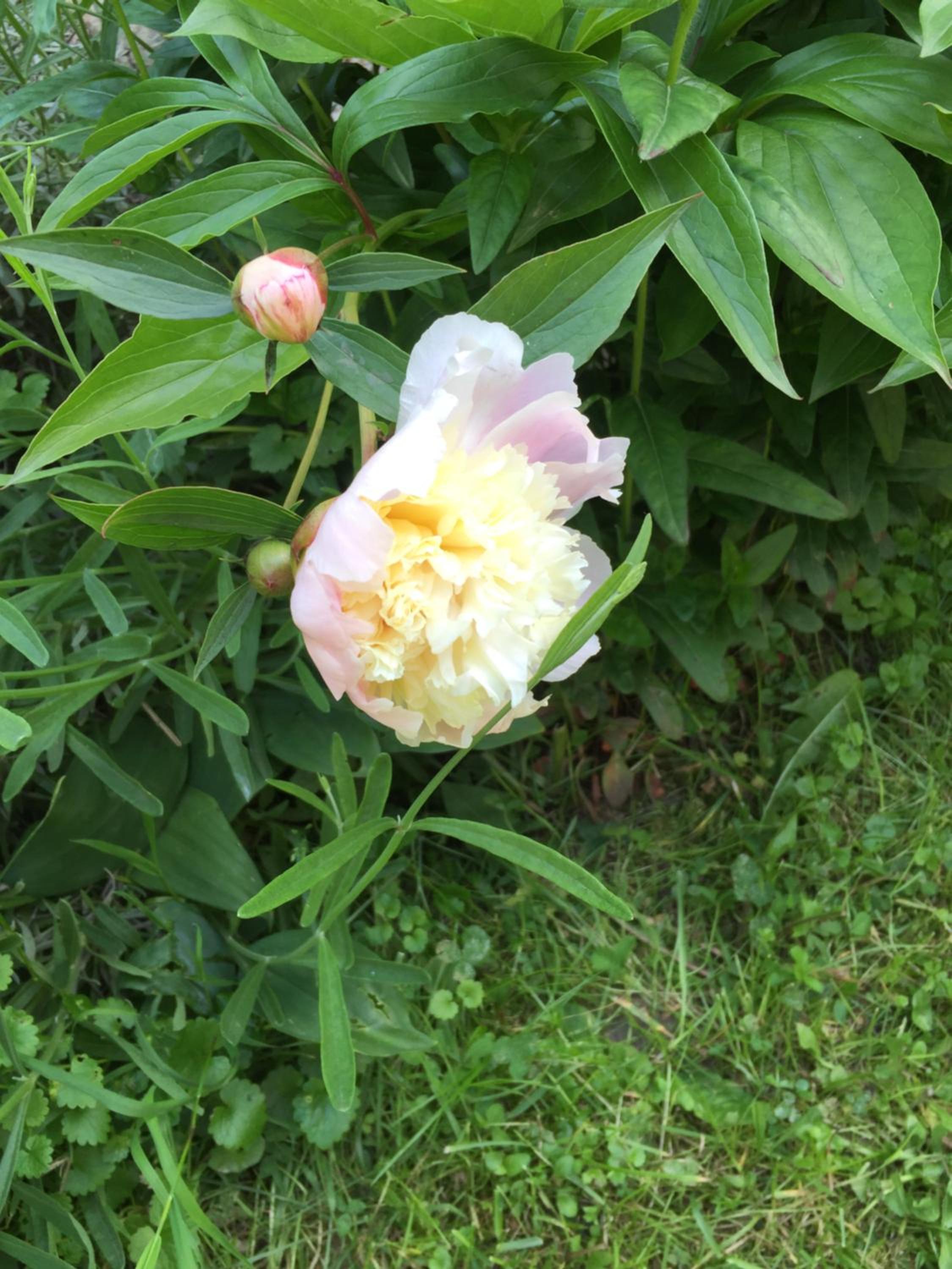 Photo 27