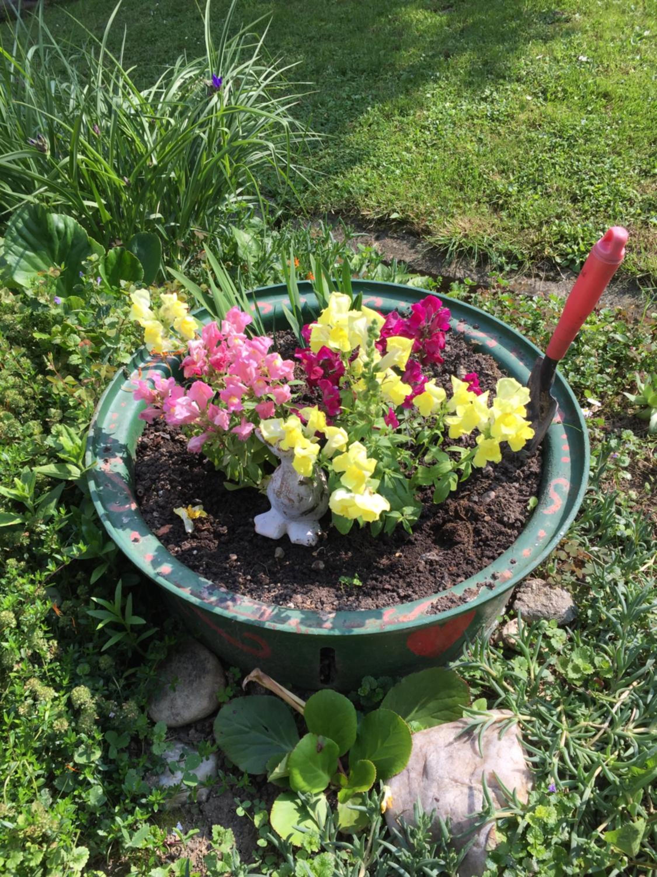 Photo 15