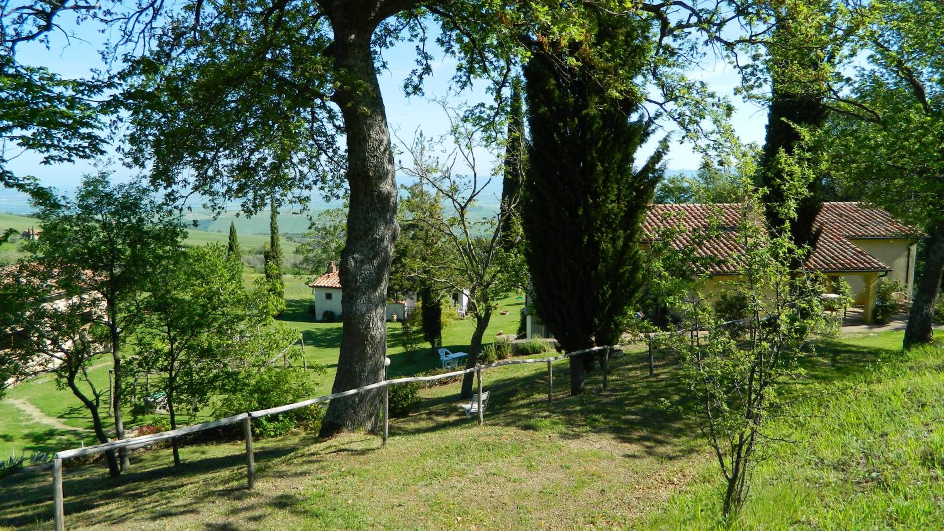 Photo 43
