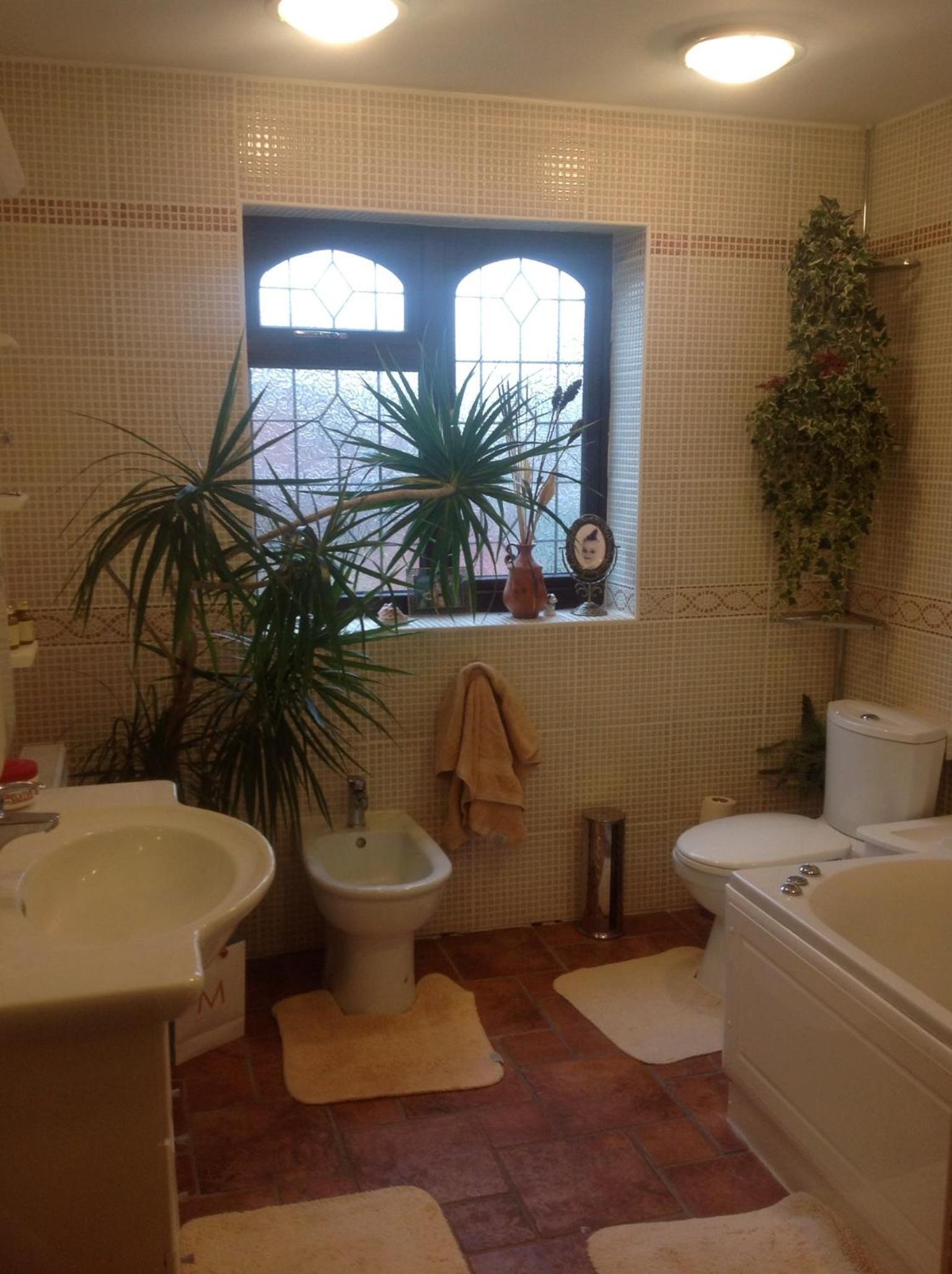 The Cedars House B&B