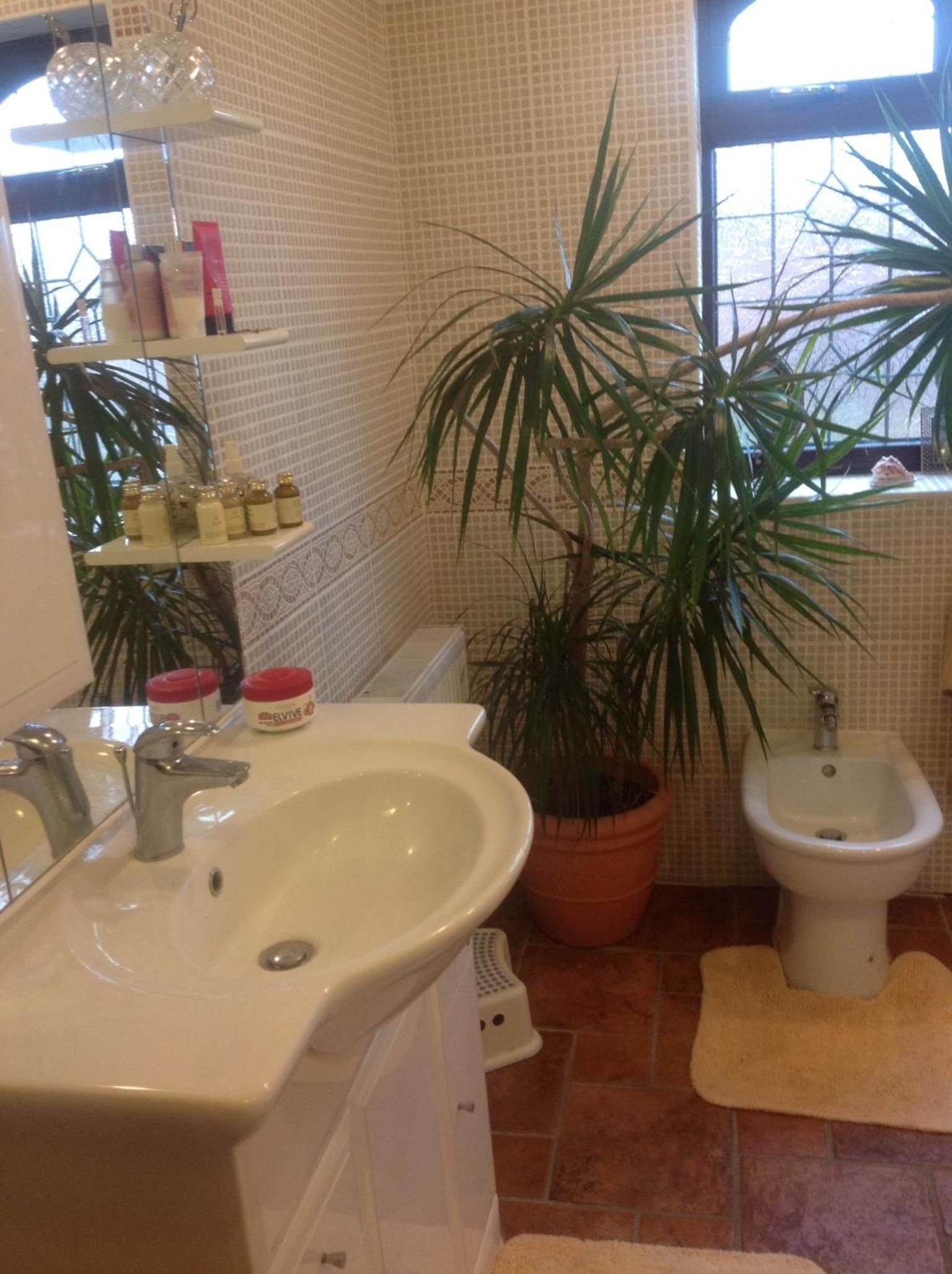 The Cedars House B&B