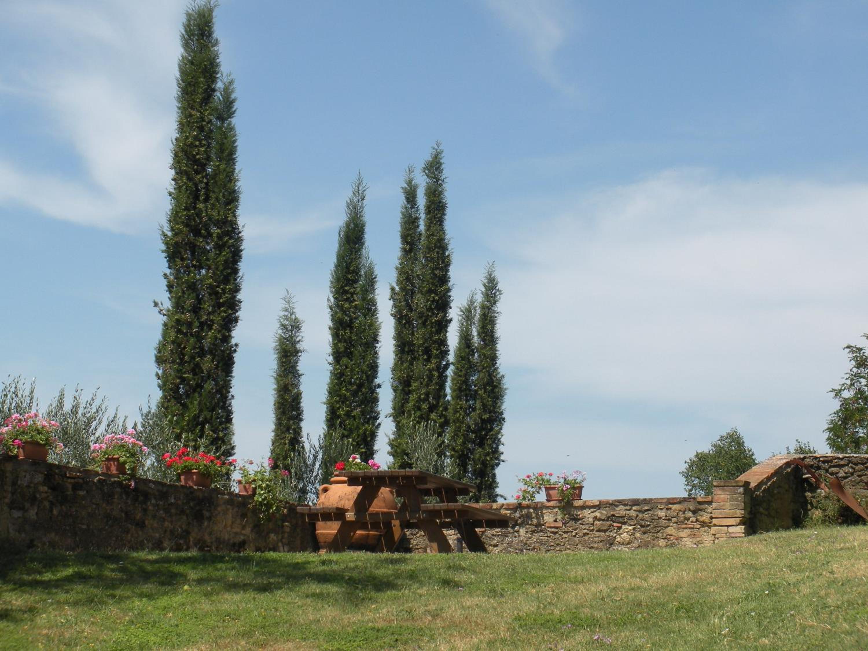 Borgo Poneta