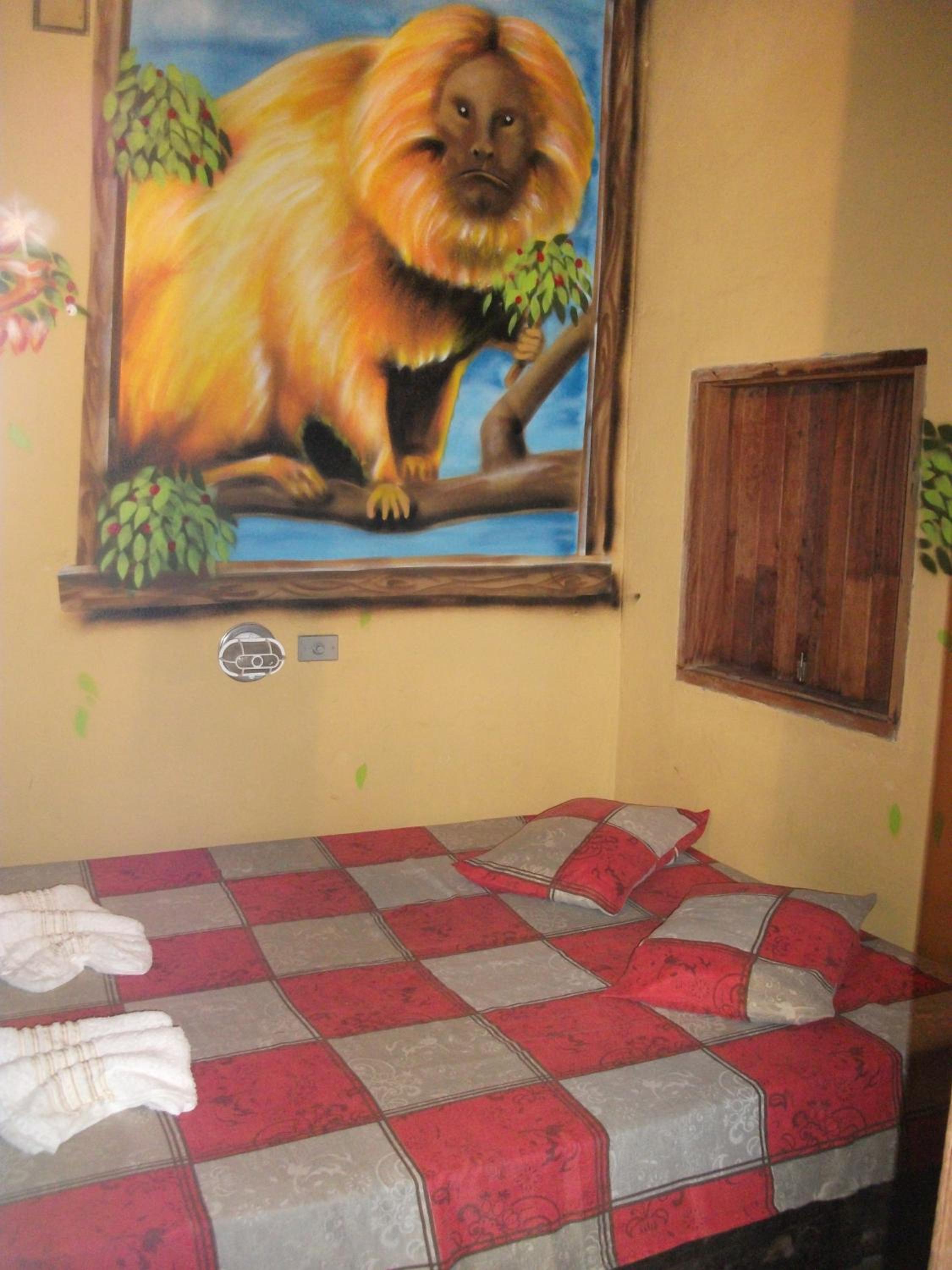 Photo 49