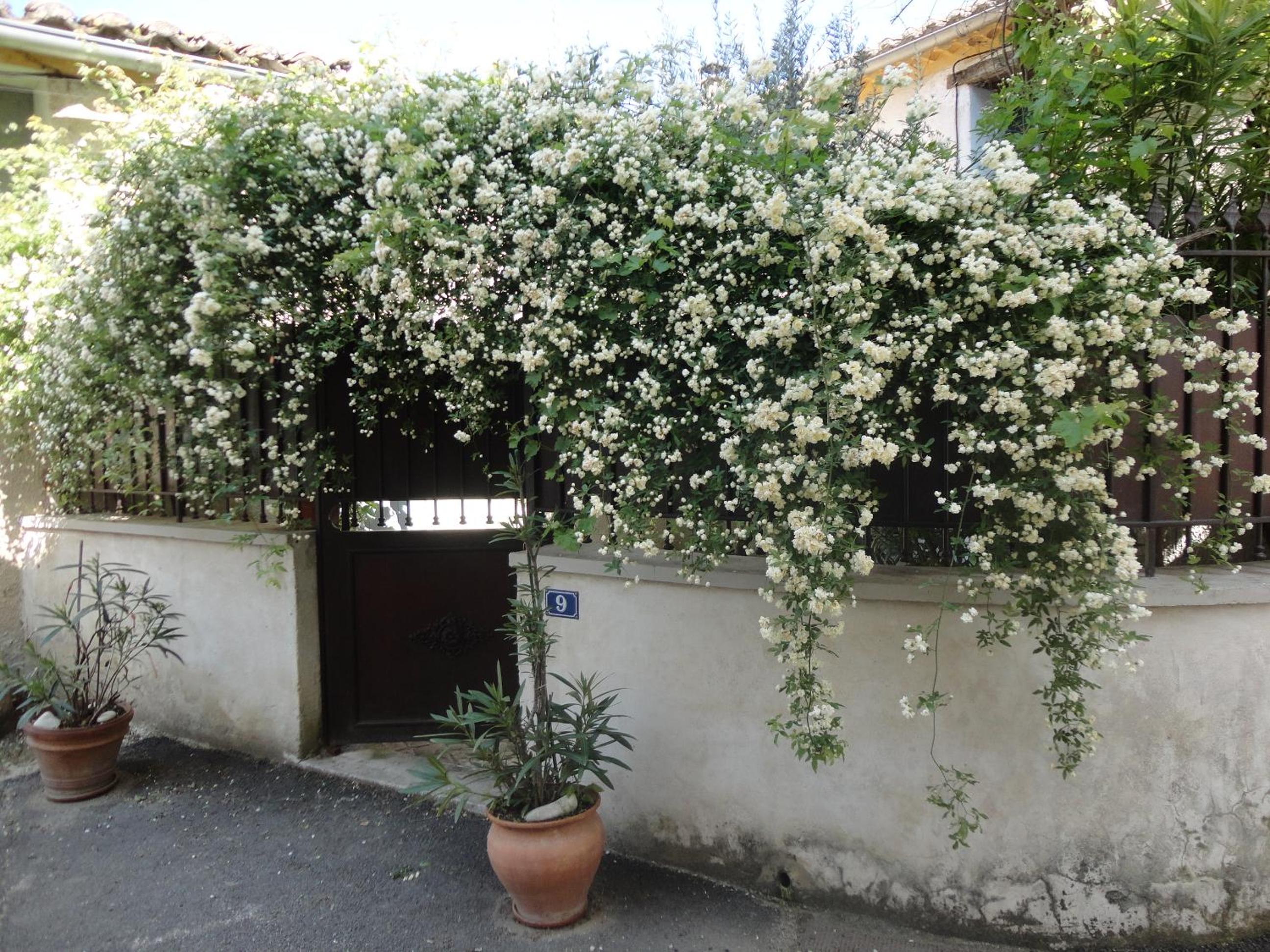 Photo 17