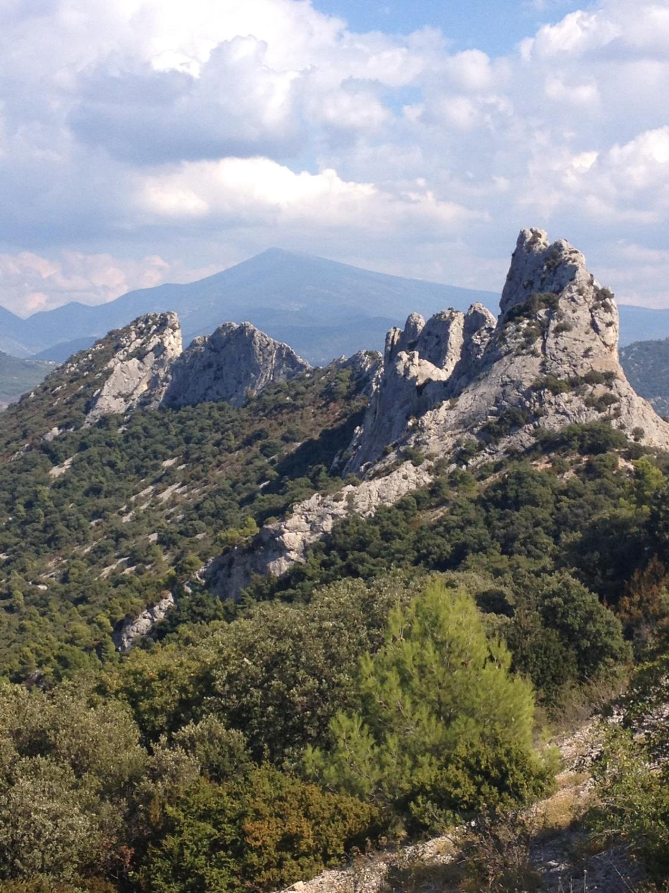 Photo 20