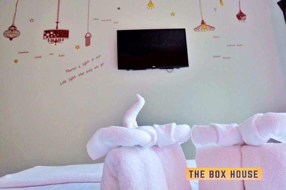 The Box House