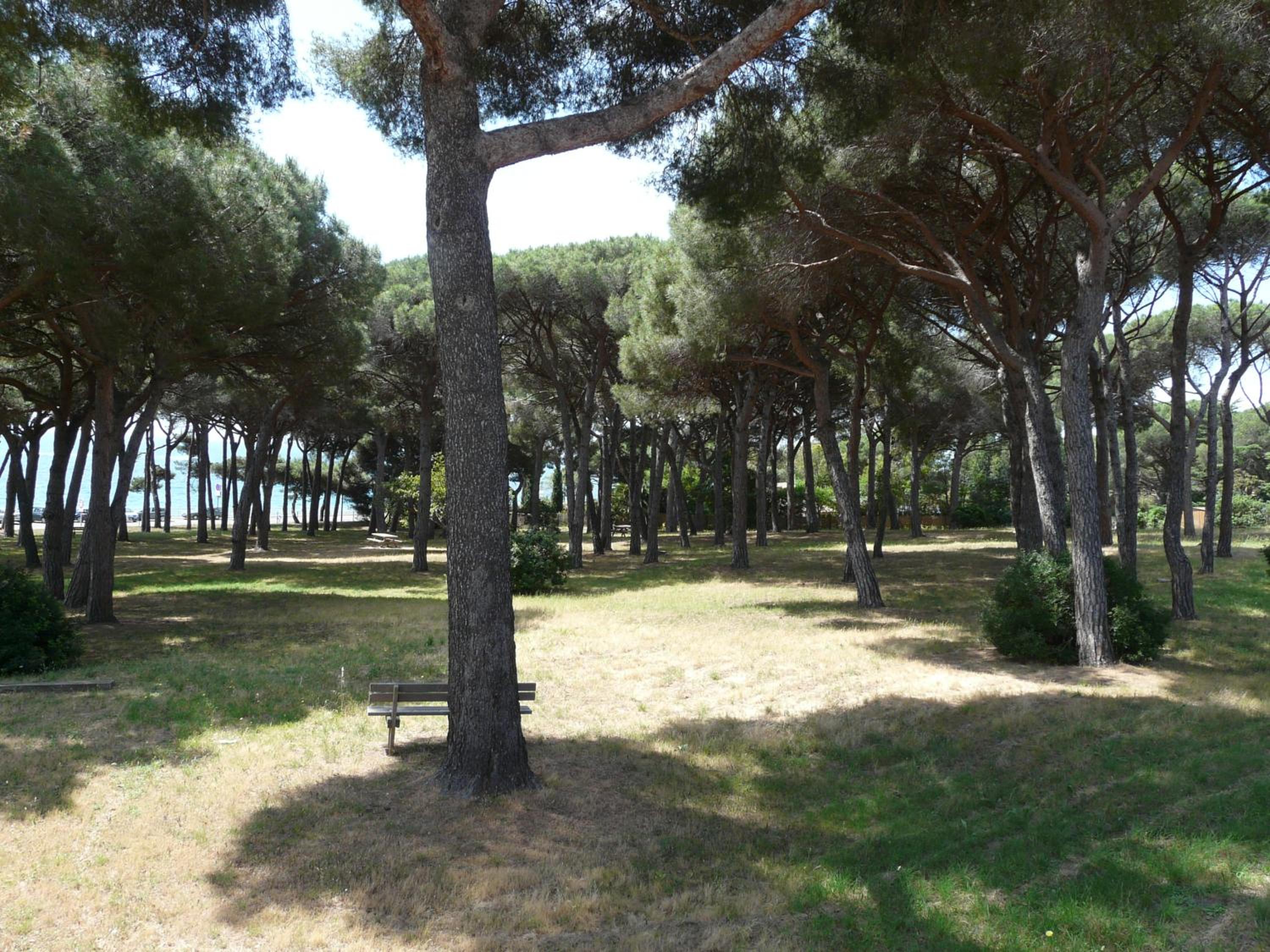 Sainte-Maxime Vacations - La Casa Mia - Property Image 4