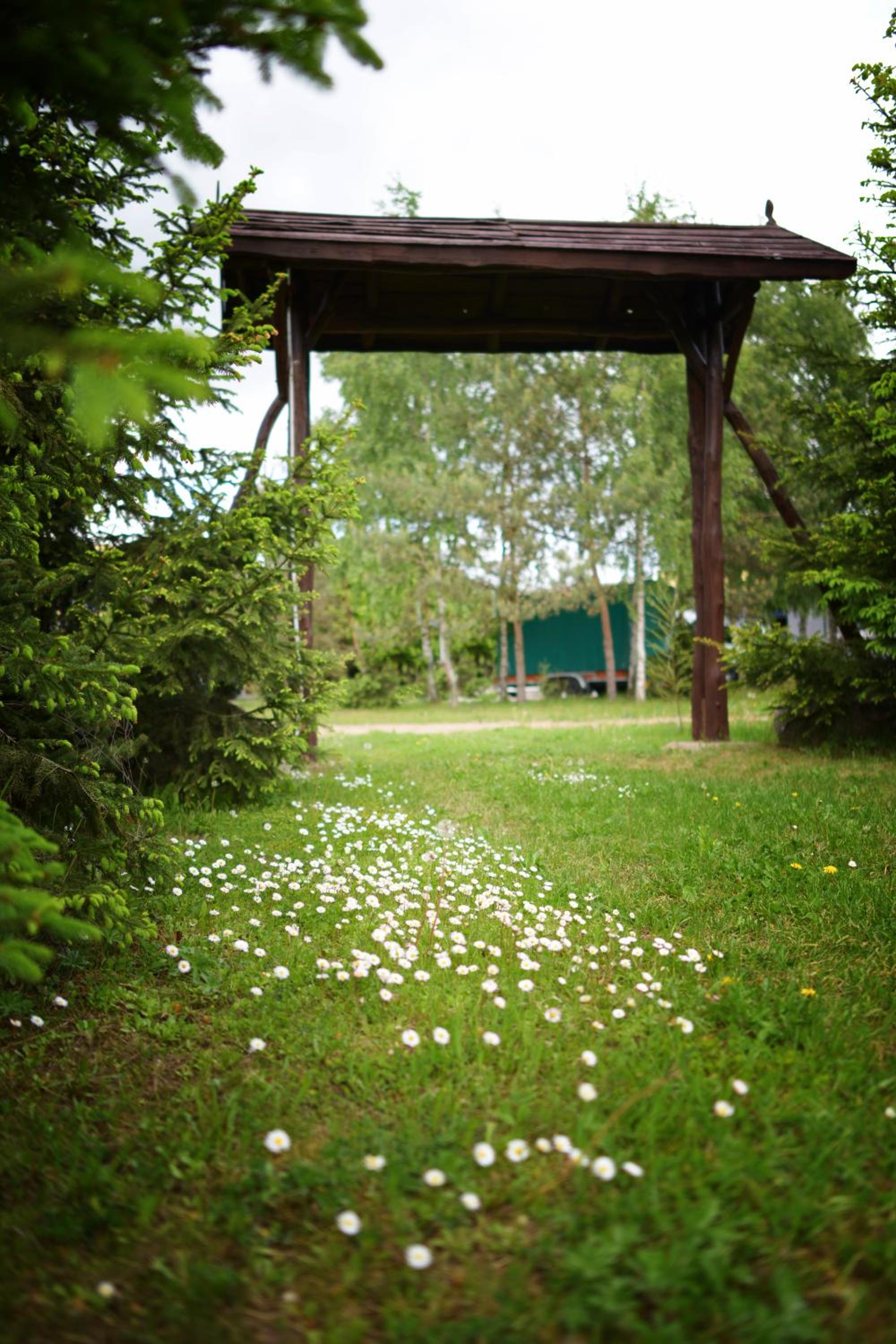 Photo 52