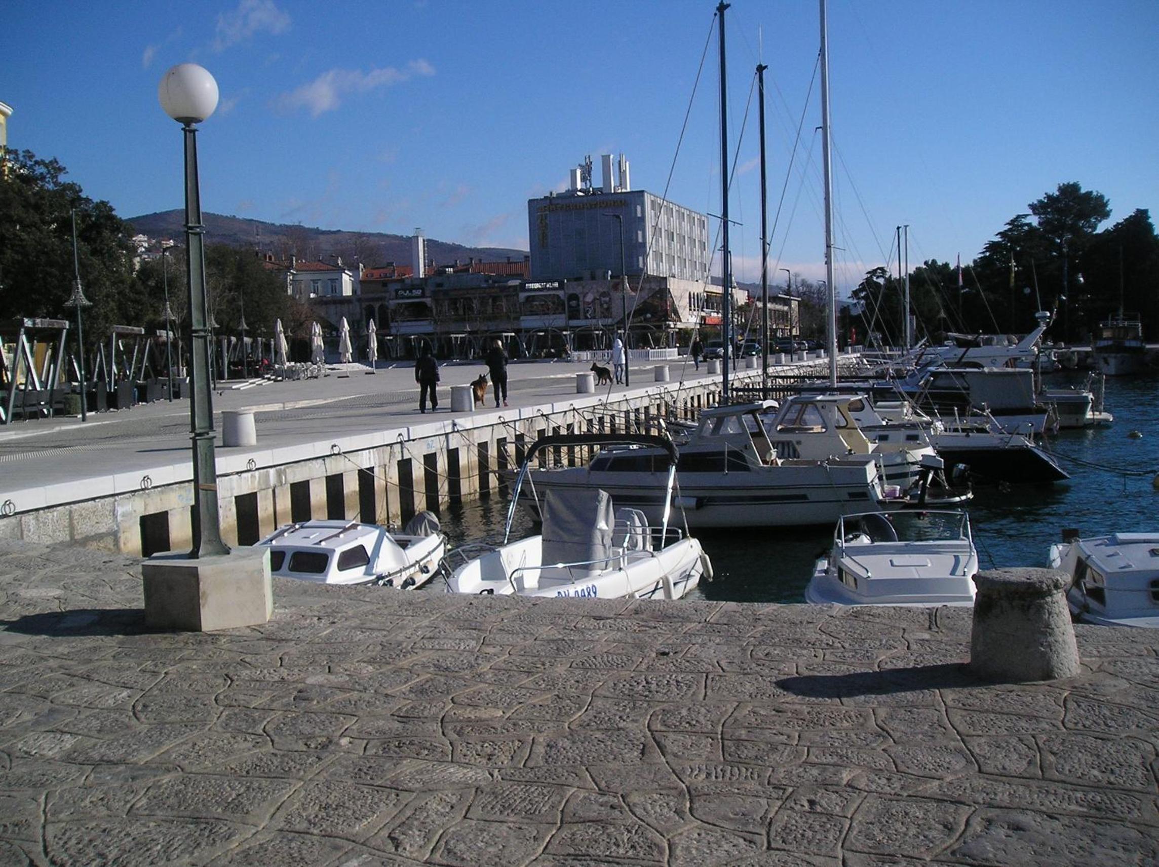 Photo 44