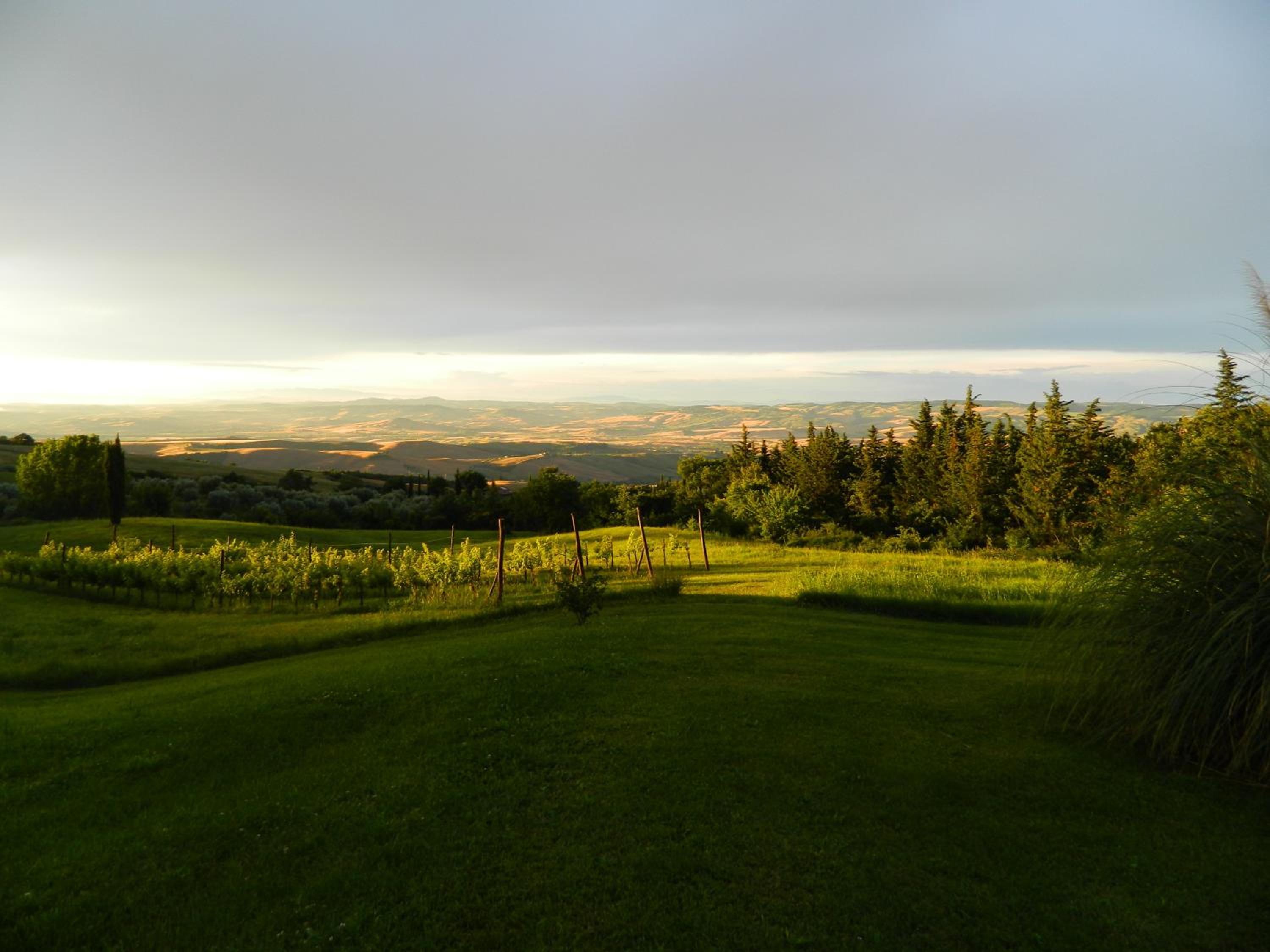 Photo 31