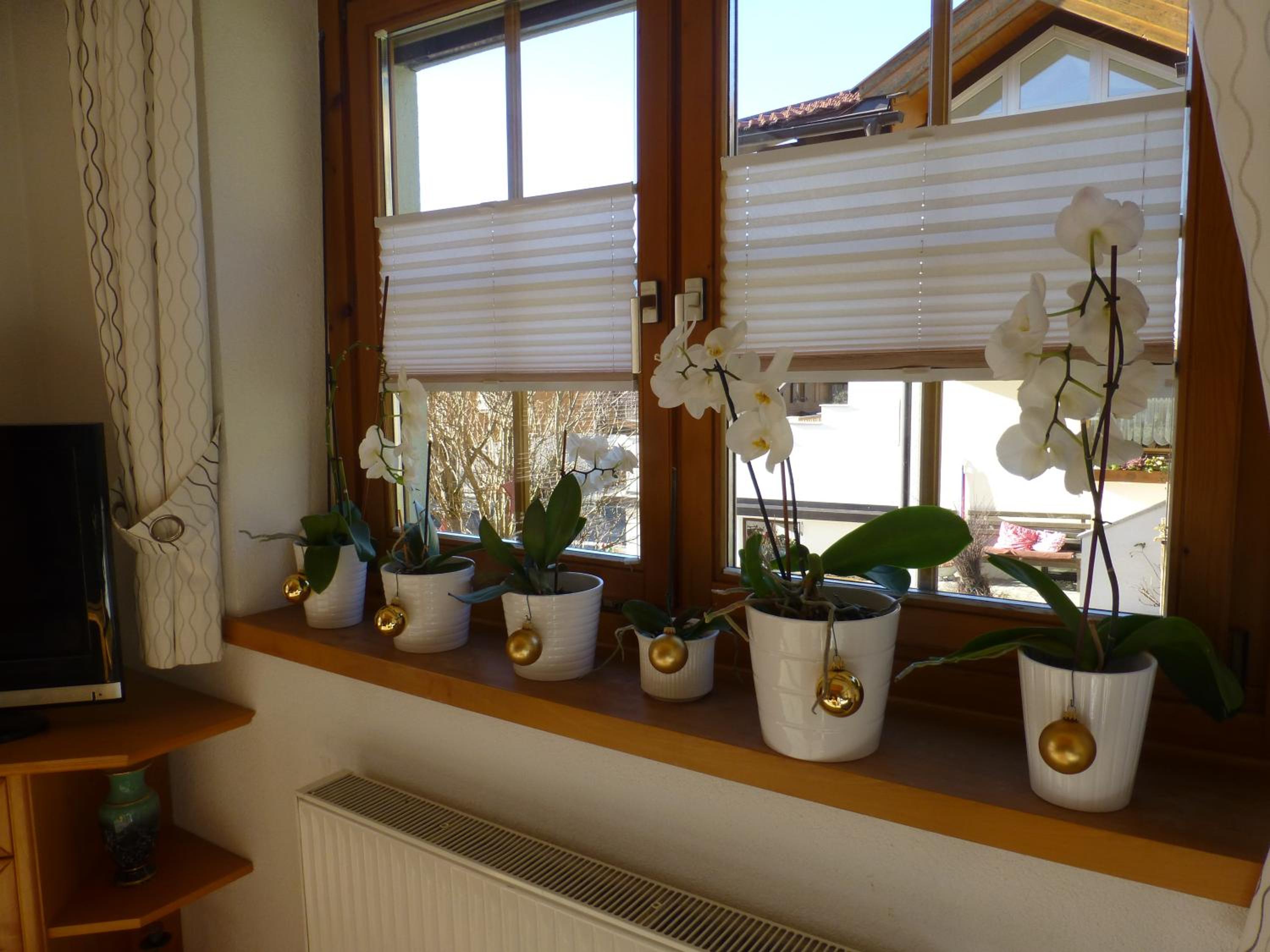 Haus Rosi