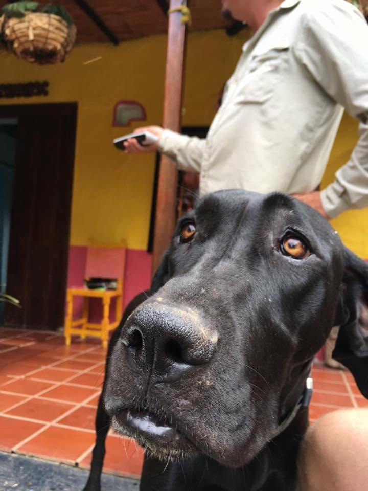 Hotel Casa finca típica the lake hotel - Image 1