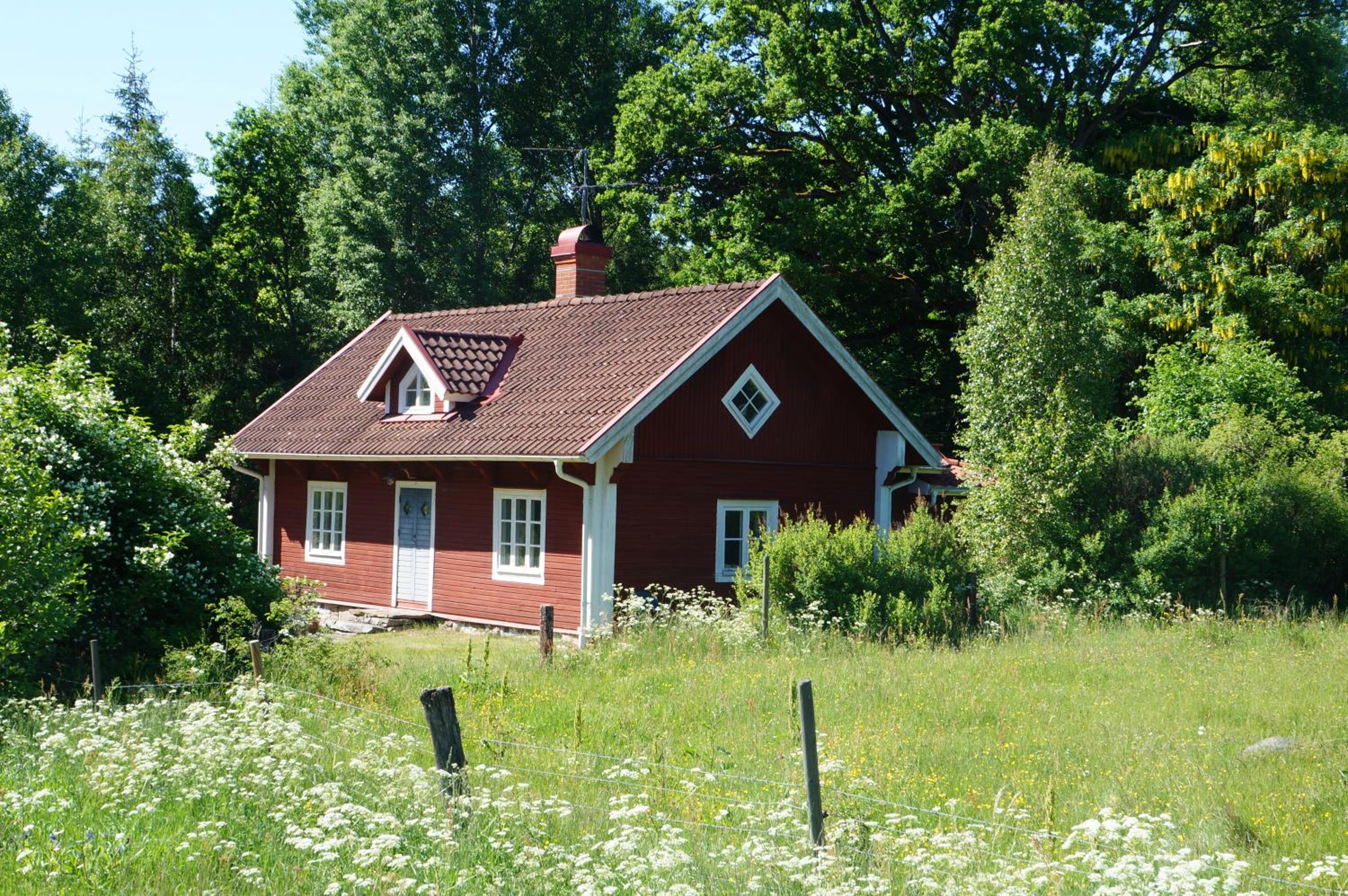 Photo 7