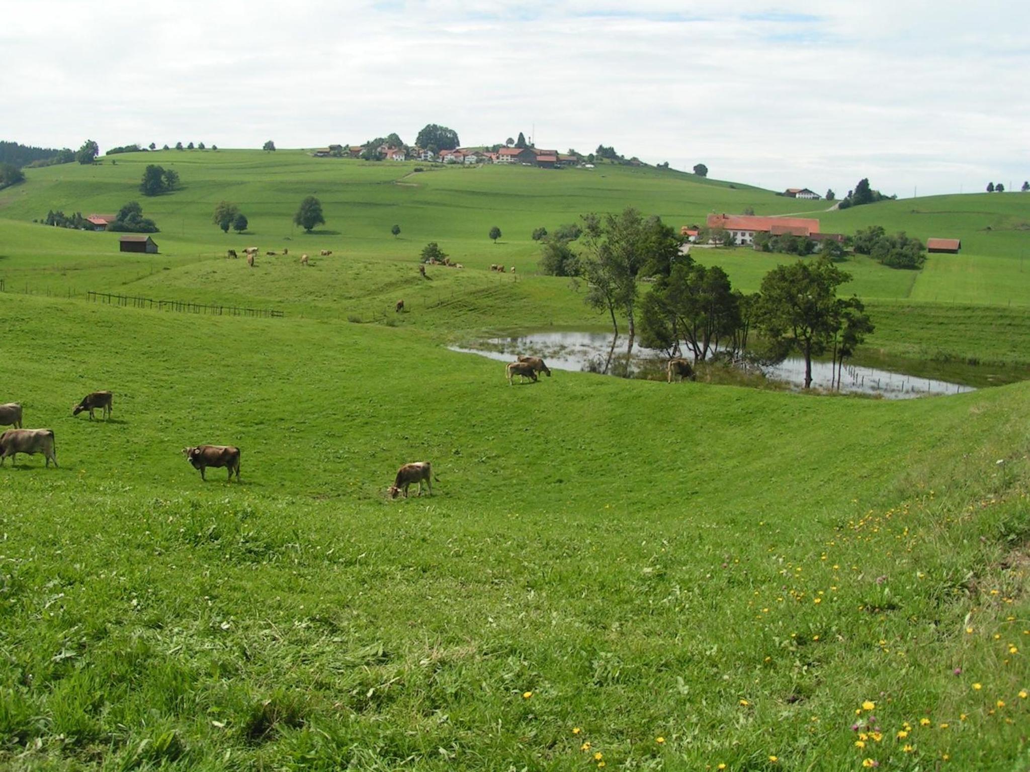 Pension Mittelallgau - Property Image 18