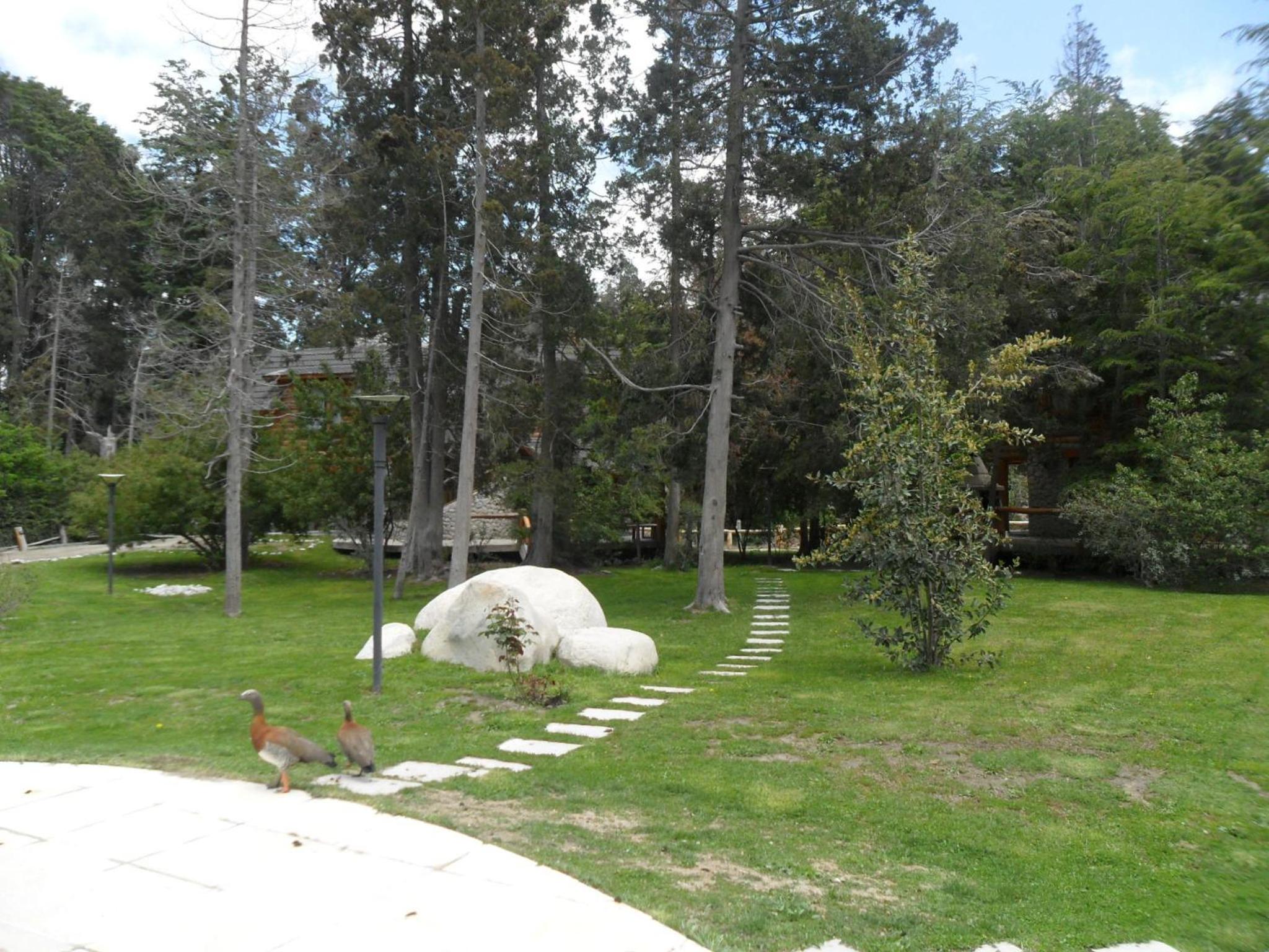El Raulí del Bonito