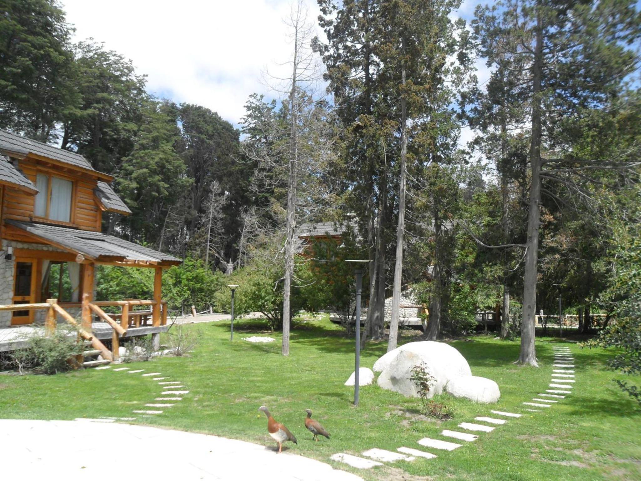 El Raulí del Bonito