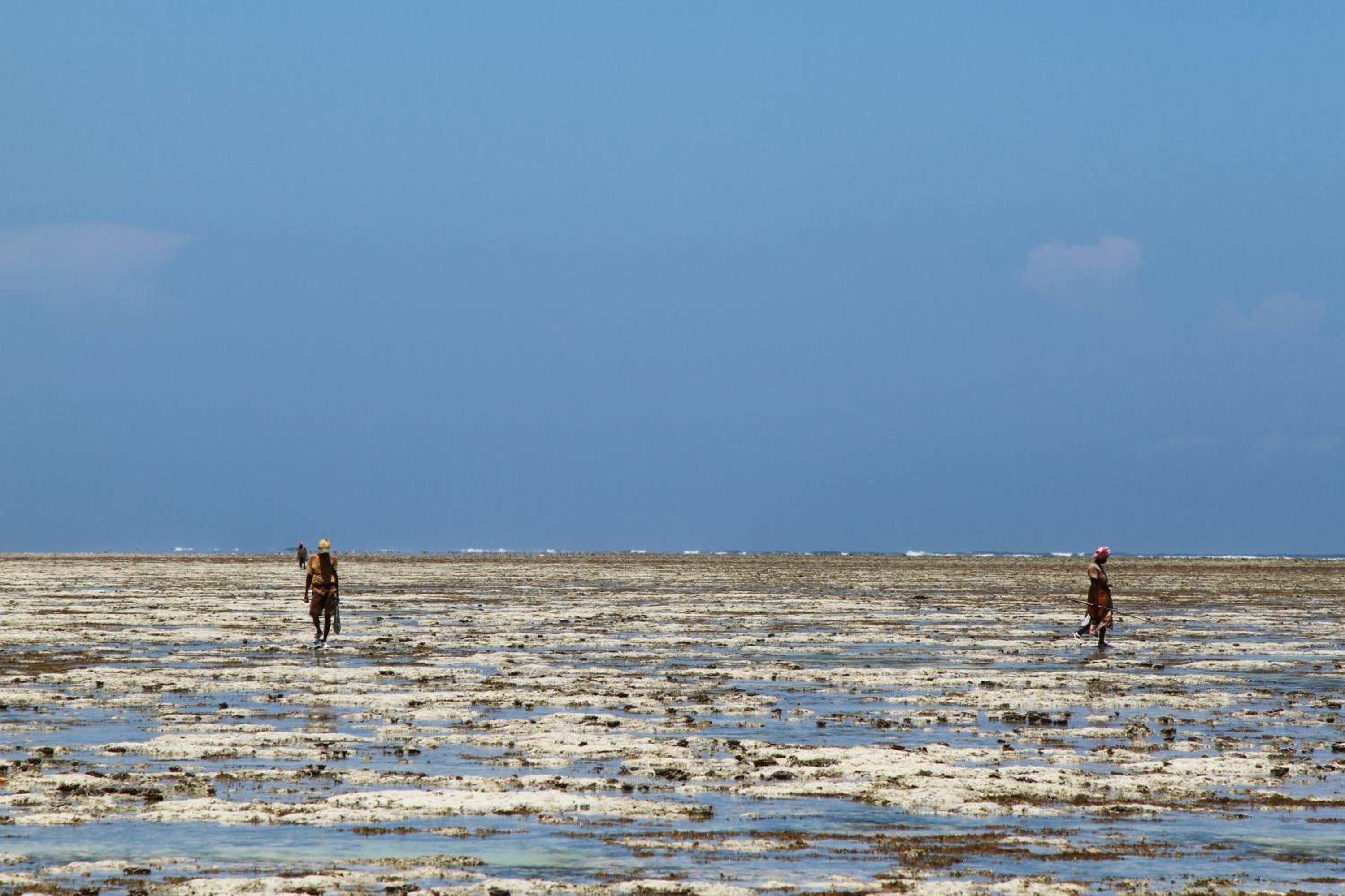 Ujamaa Beach Resort