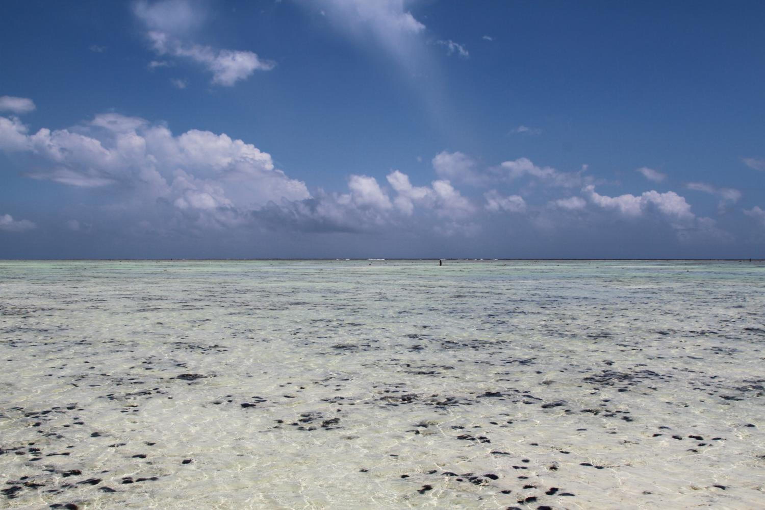 Ujamaa Beach Resort