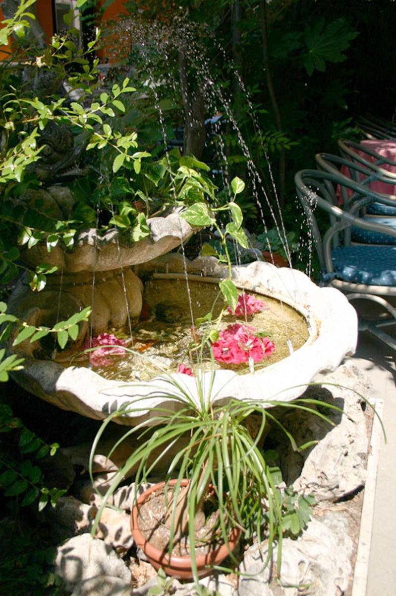 garden