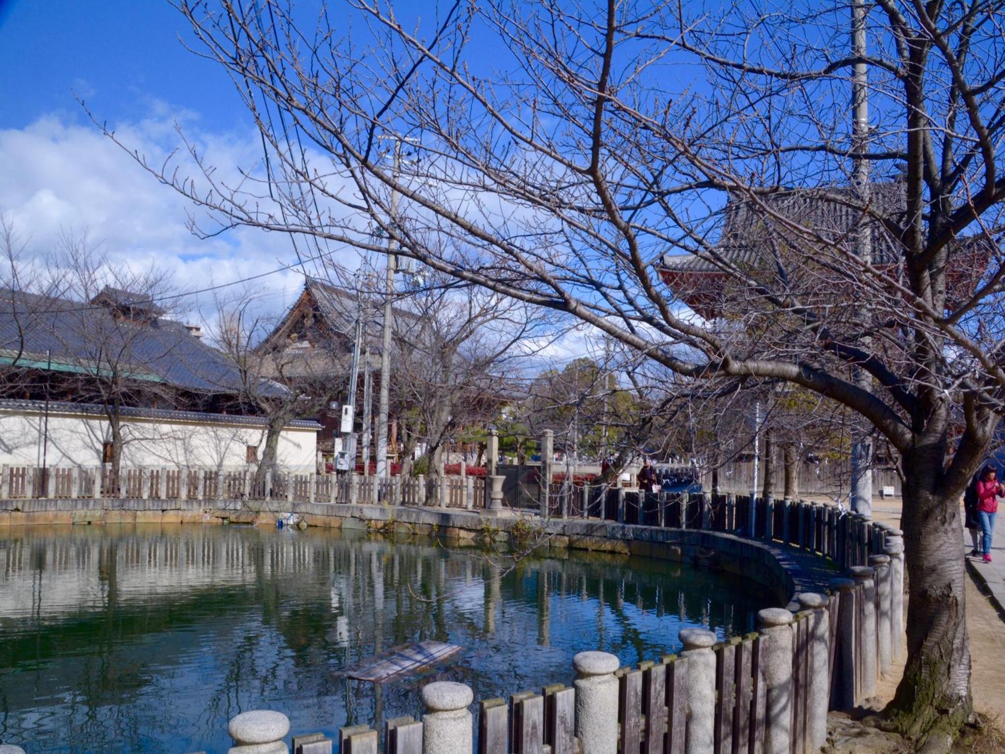 Osaka Guesthouse Nest