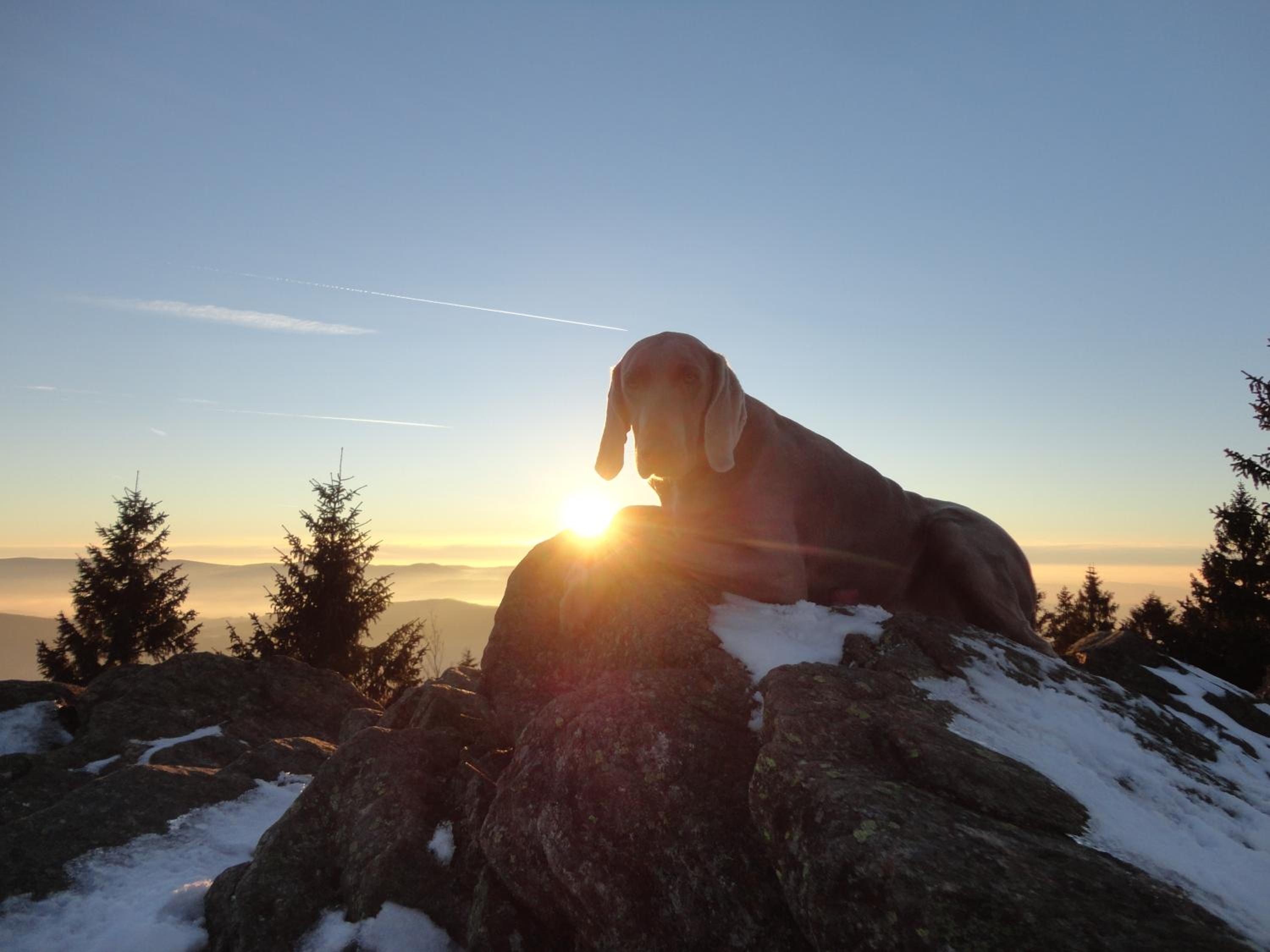 Jägerhäusl view 3