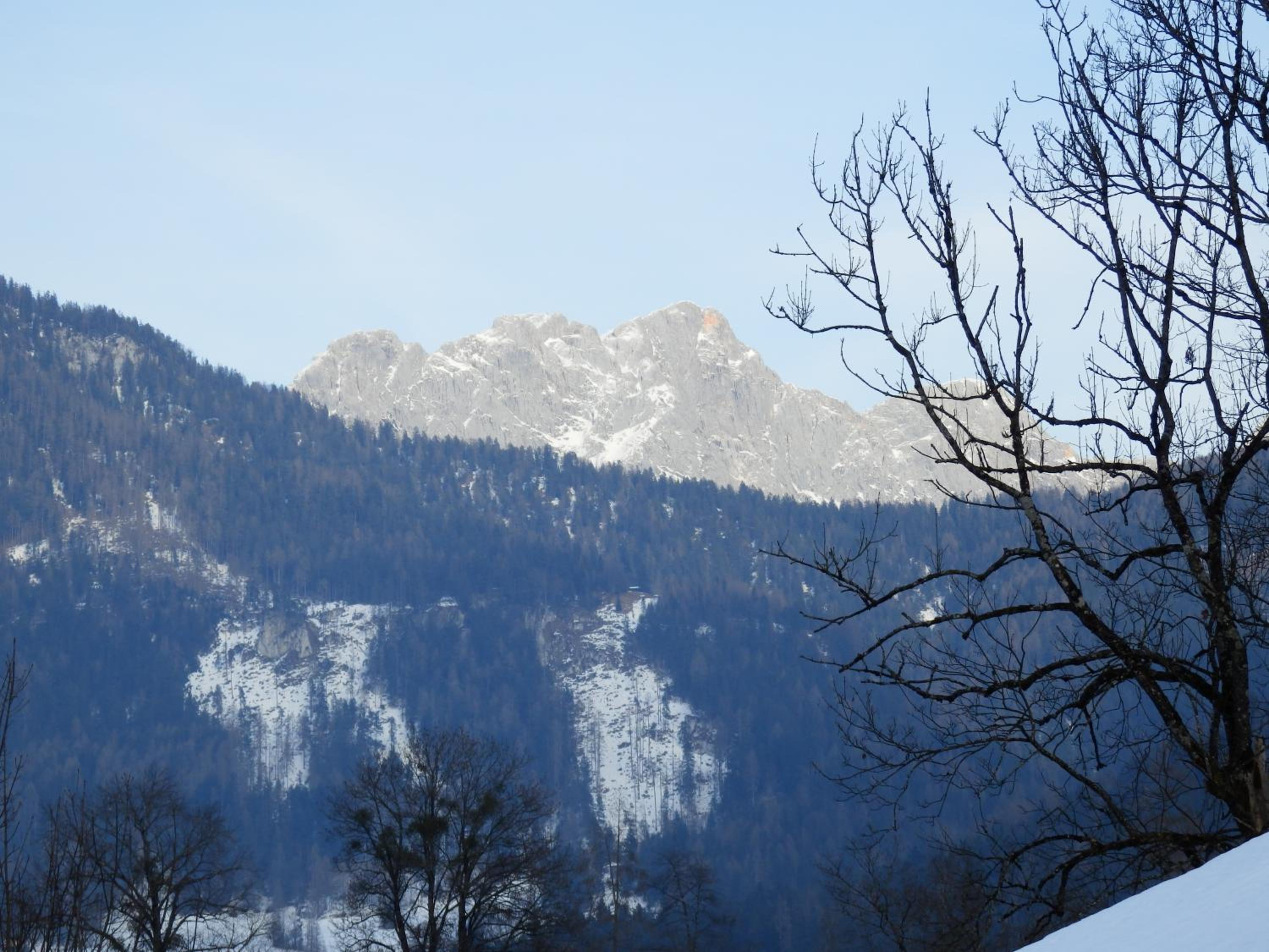 Apartments Saalachtal