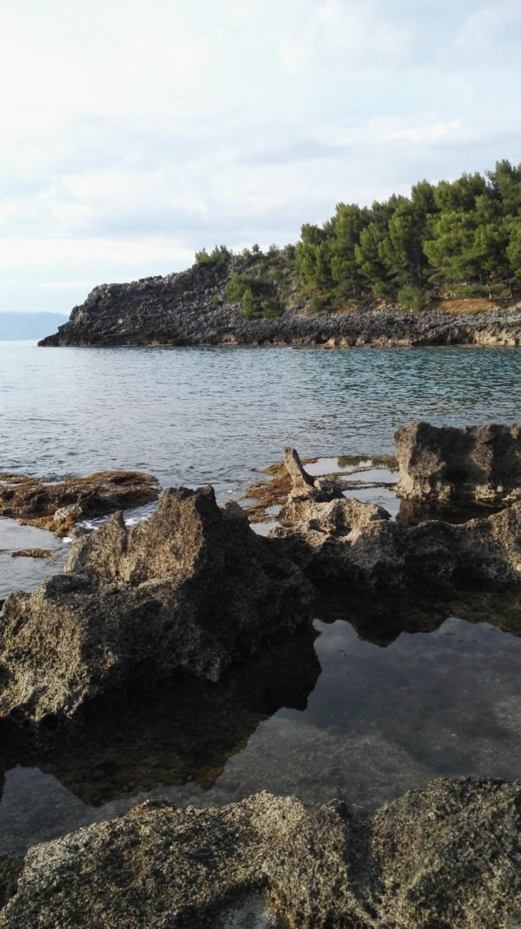 B&B La Torretta