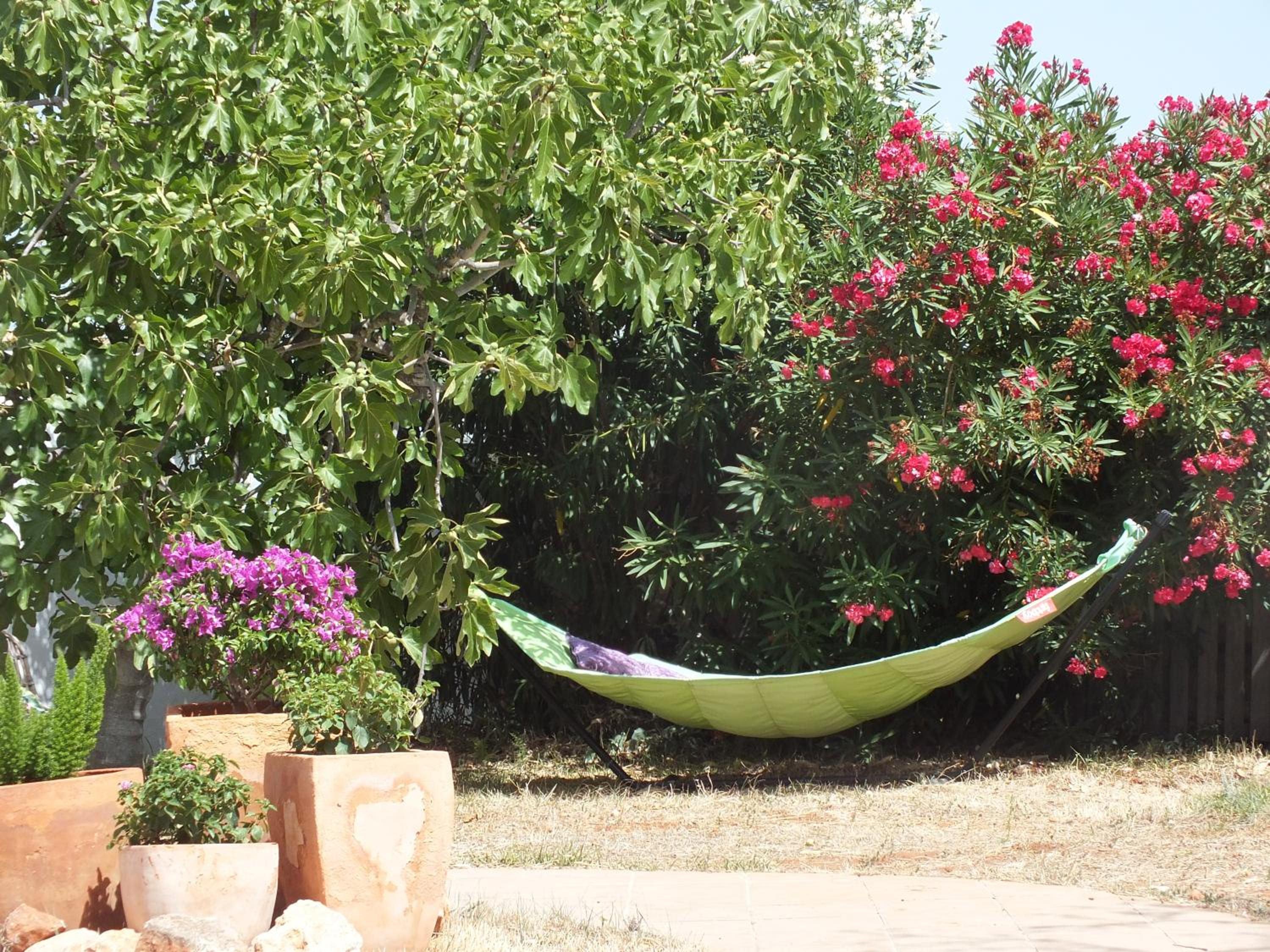 Buena Idea - Adults Only