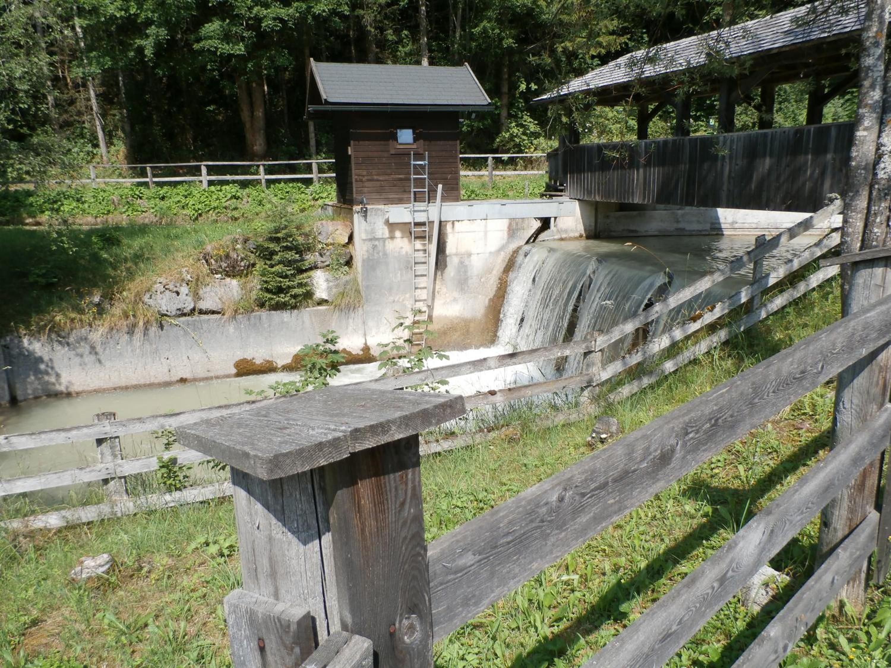 Photo 41