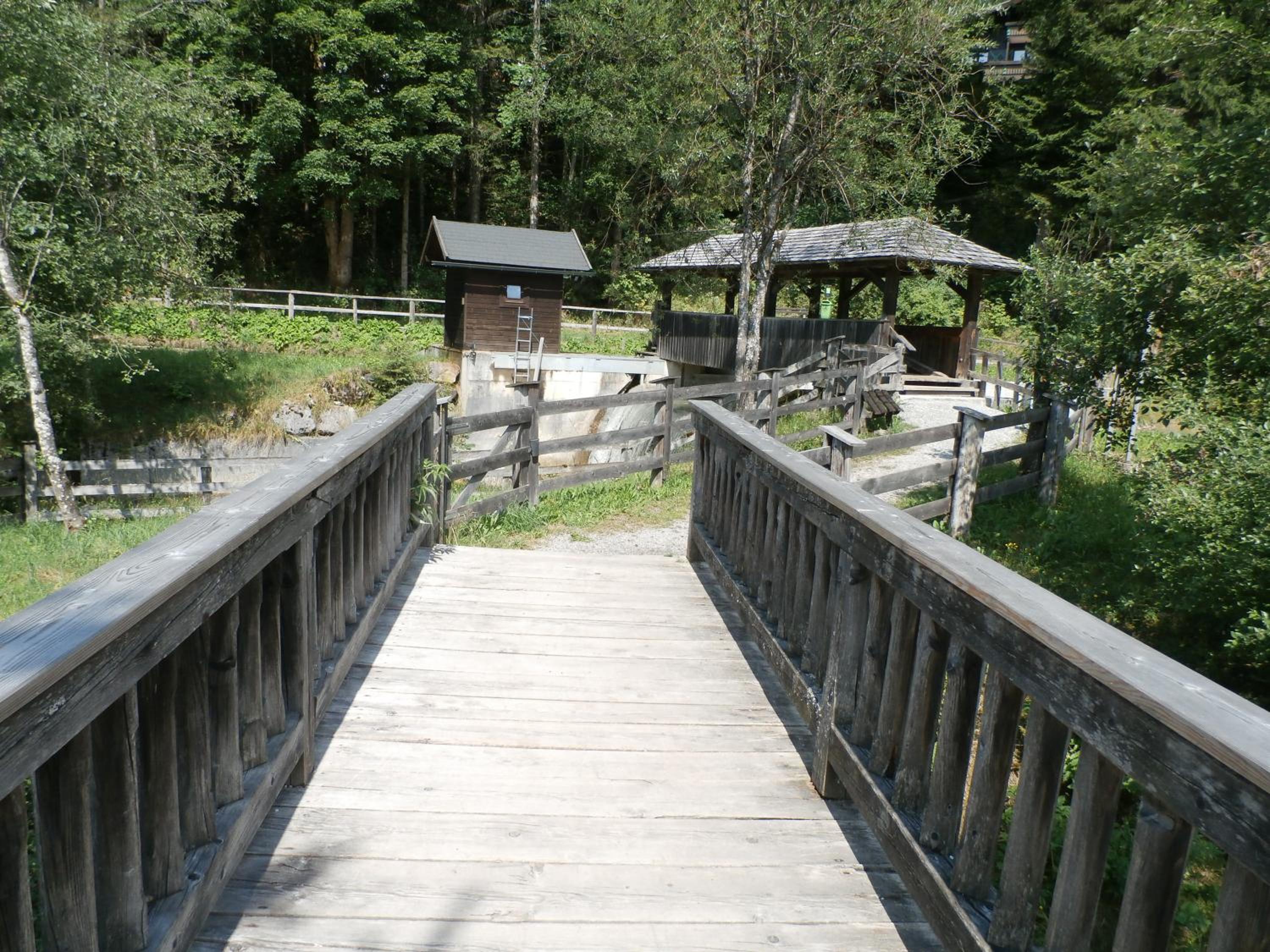 Photo 43