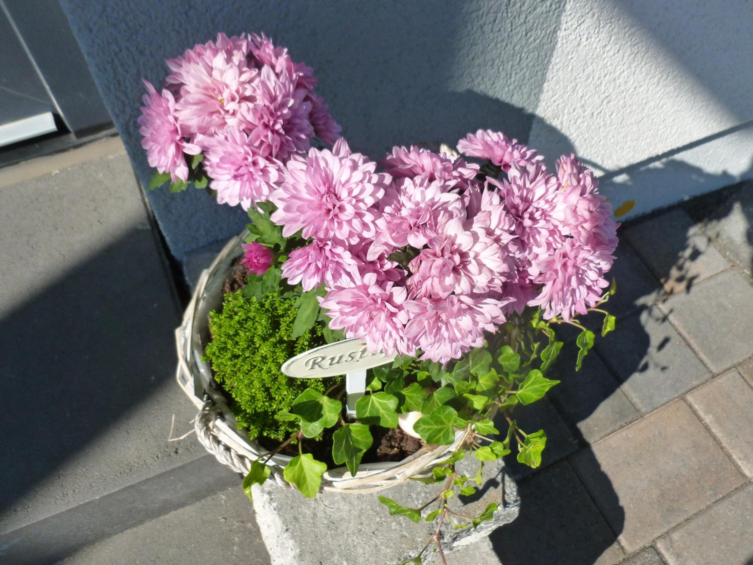 Photo 22