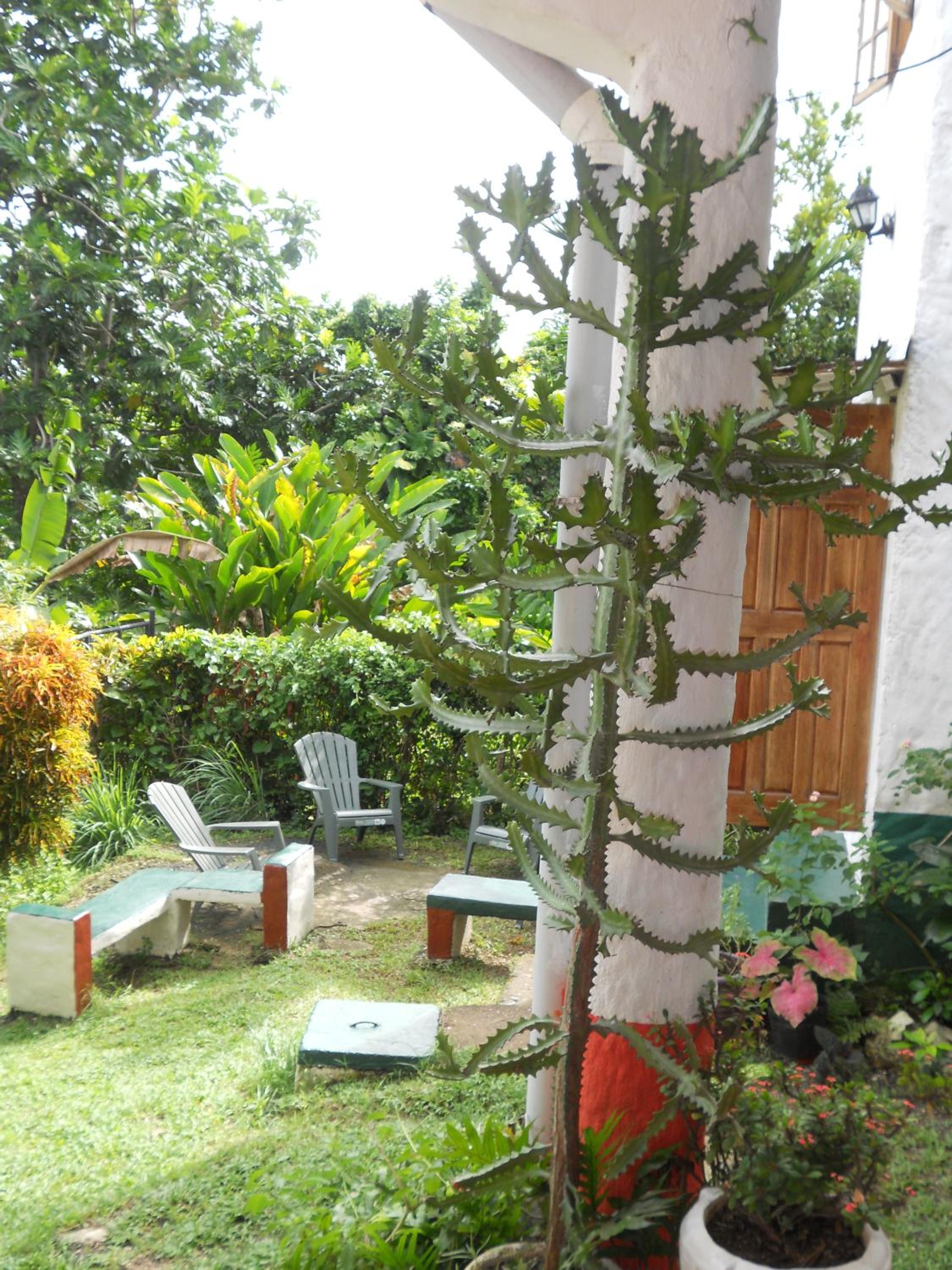 Photo 19