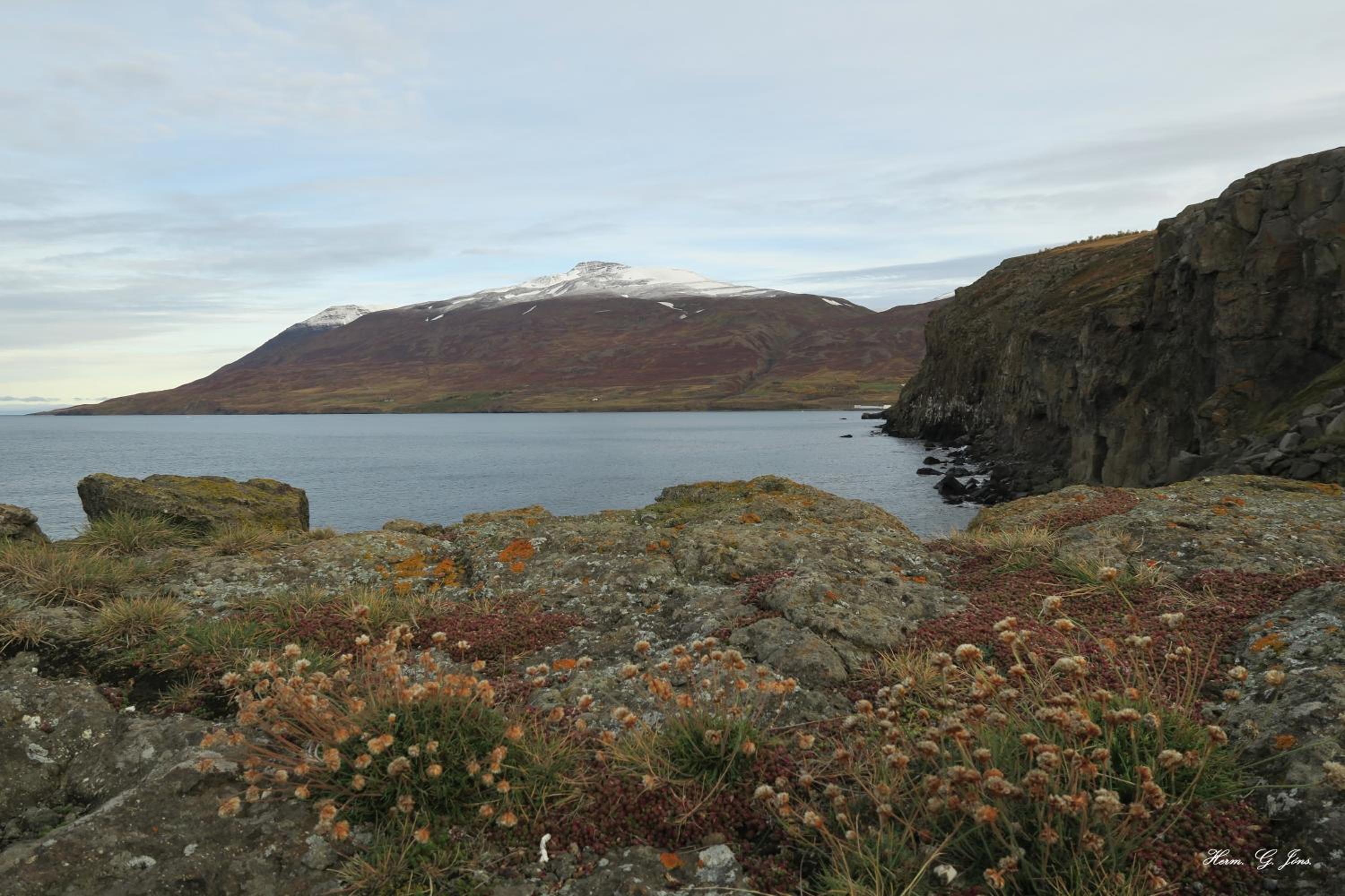 Grenivik Guesthouse