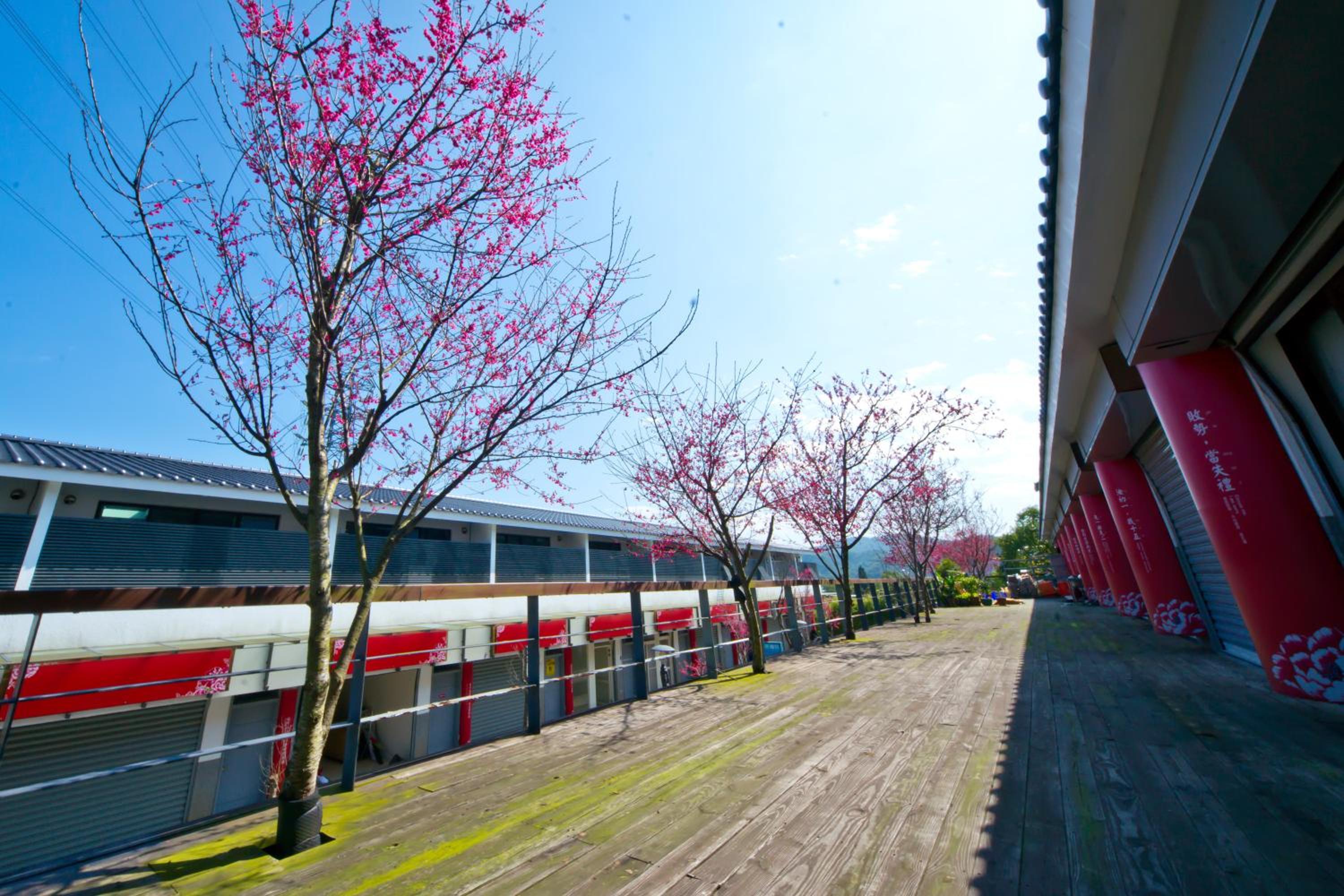 Miaoli Sanyi Bo Wu Guan Homestay
