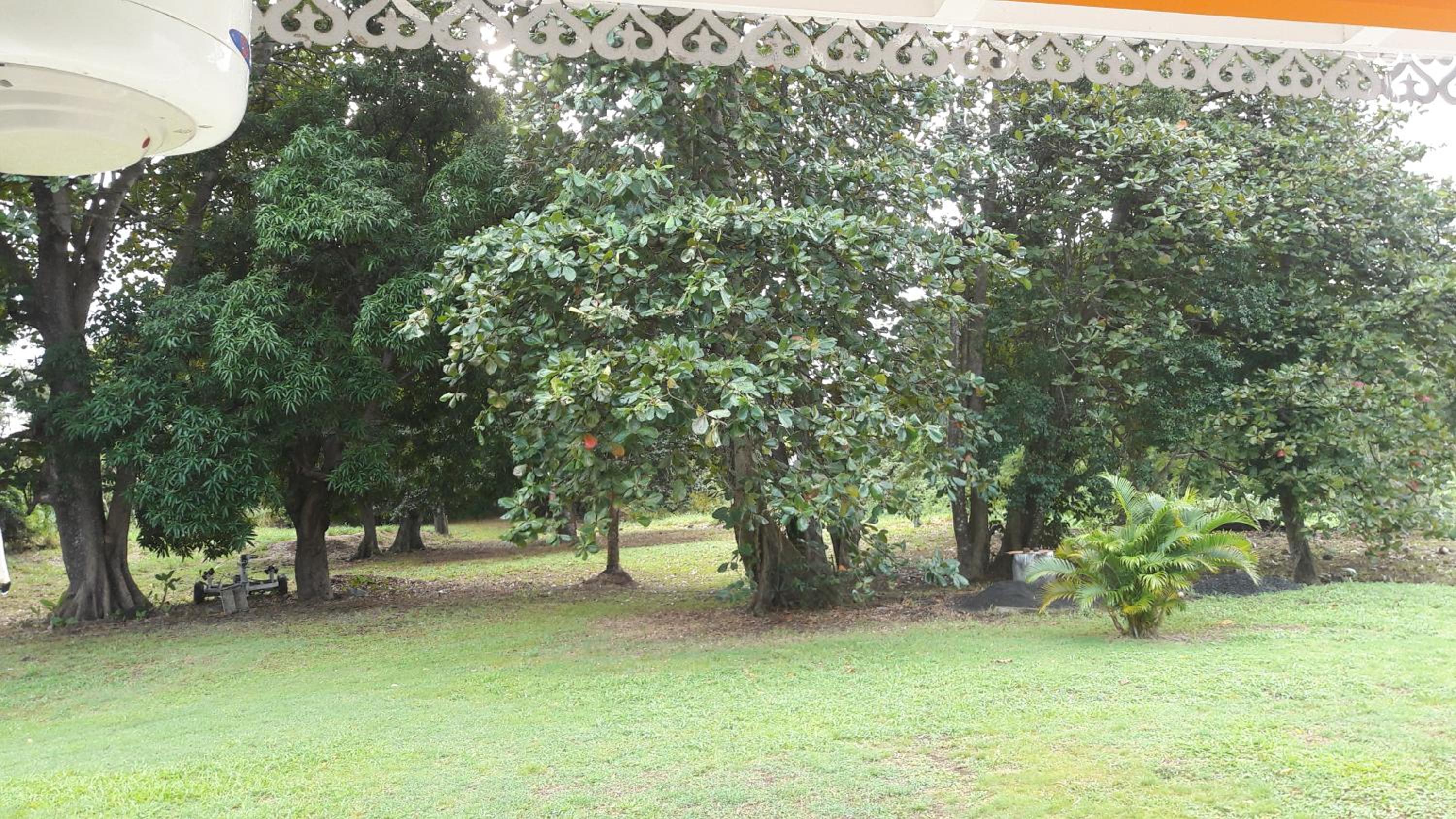 Bungalow PAPAYE