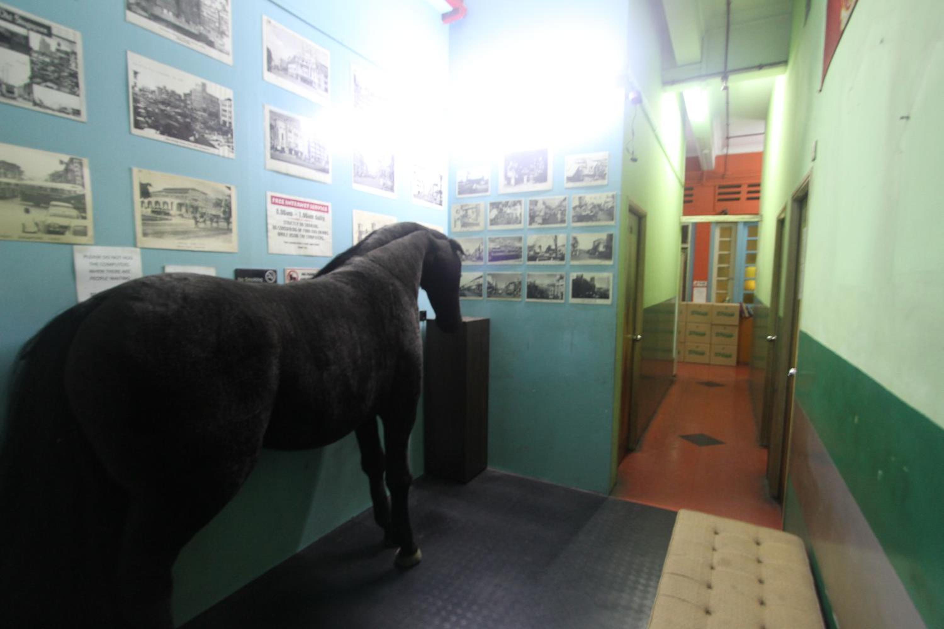 Backpacker Cozy Corner Guesthouse