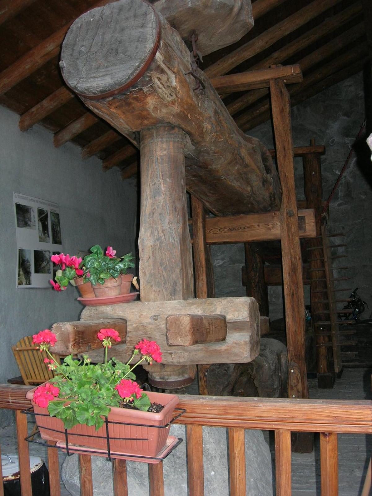 B&B Il Torchio view 5